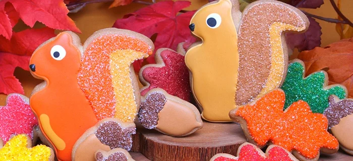 eleniscategory-item1_image-602_jpg_700x320_crop_upscale_q85.jpg