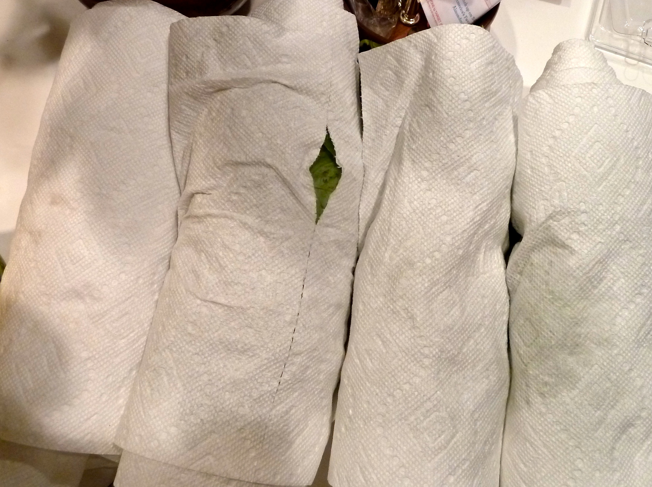 Roll up the Basil in Paper Towels to Dry