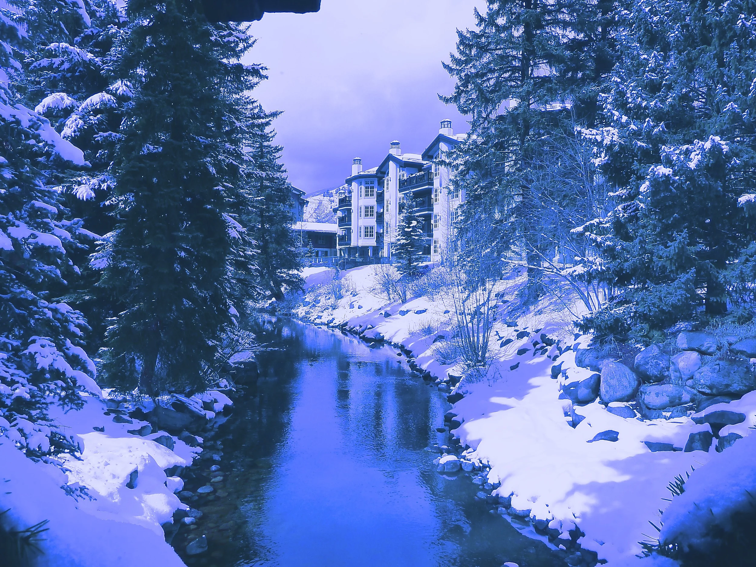 TST_Vail_Winter_Creek_photo.jpeg