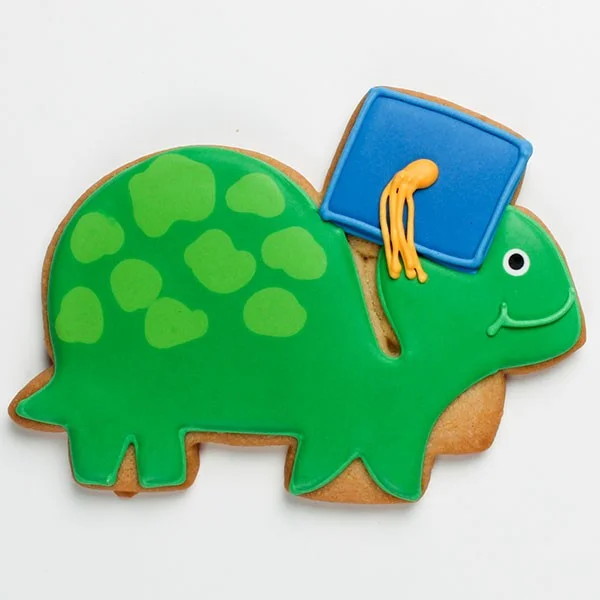 ec_product-graduation_square_01-turtle-pf.jpg