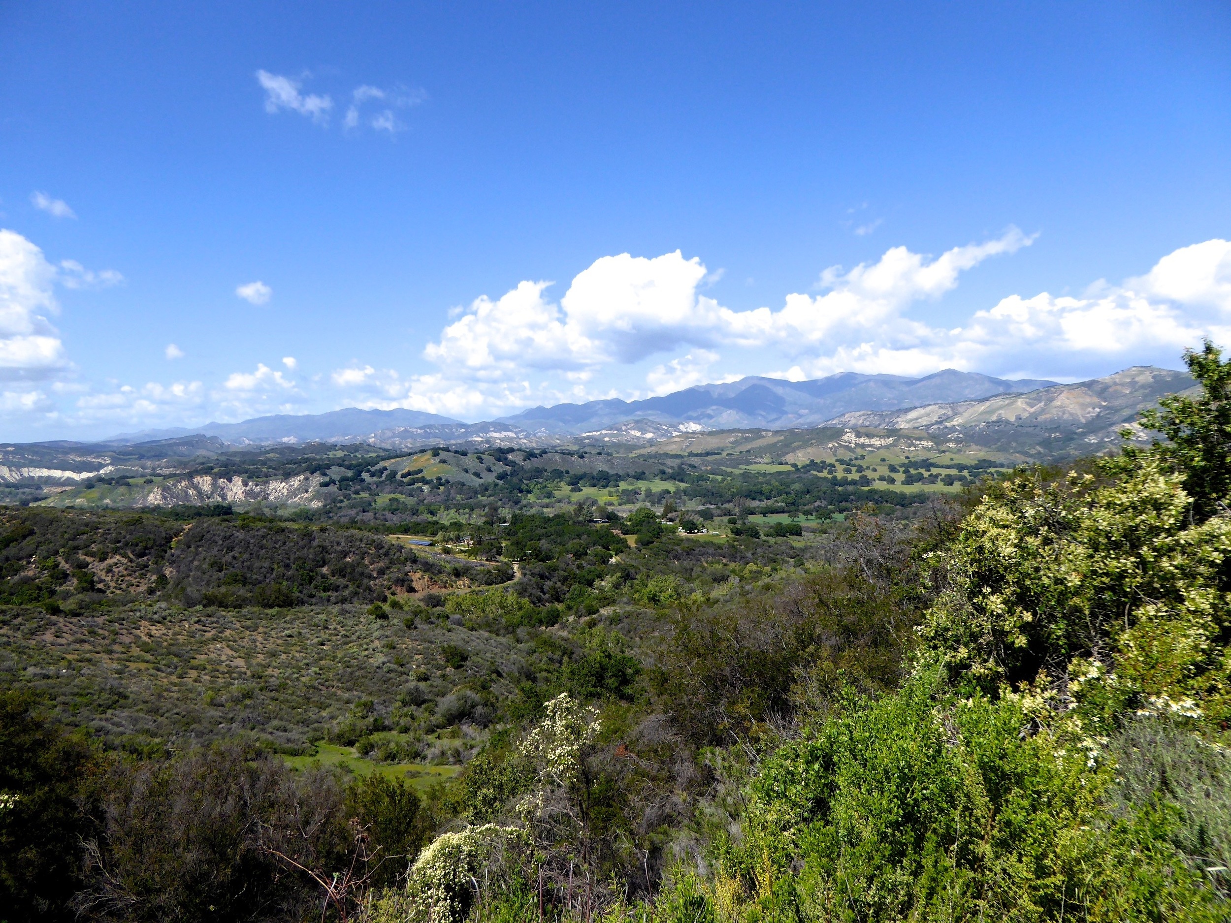 solvang_santabarbara_santaynez_spiritedtable_photo.9.jpg