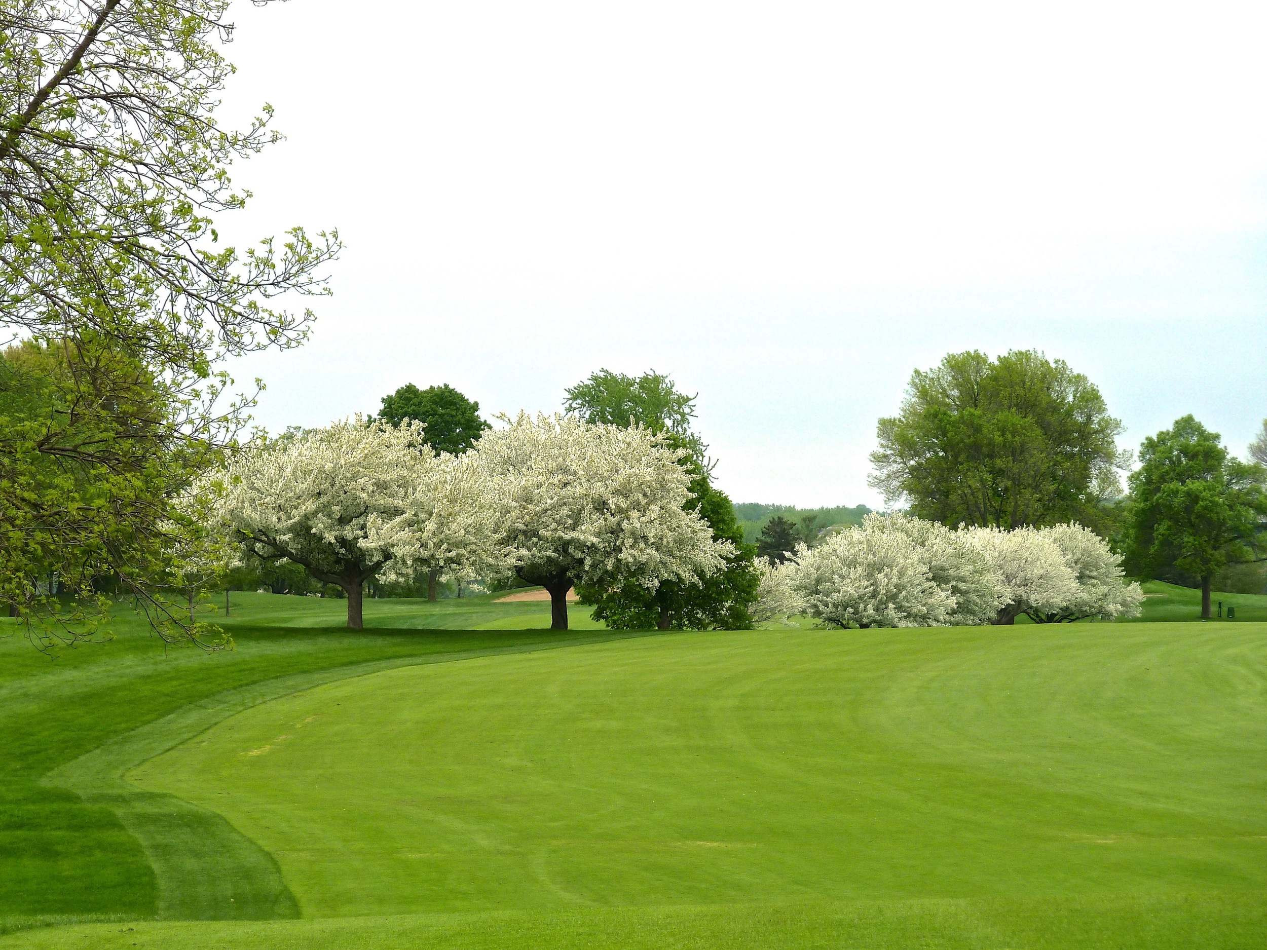 Spring on the course