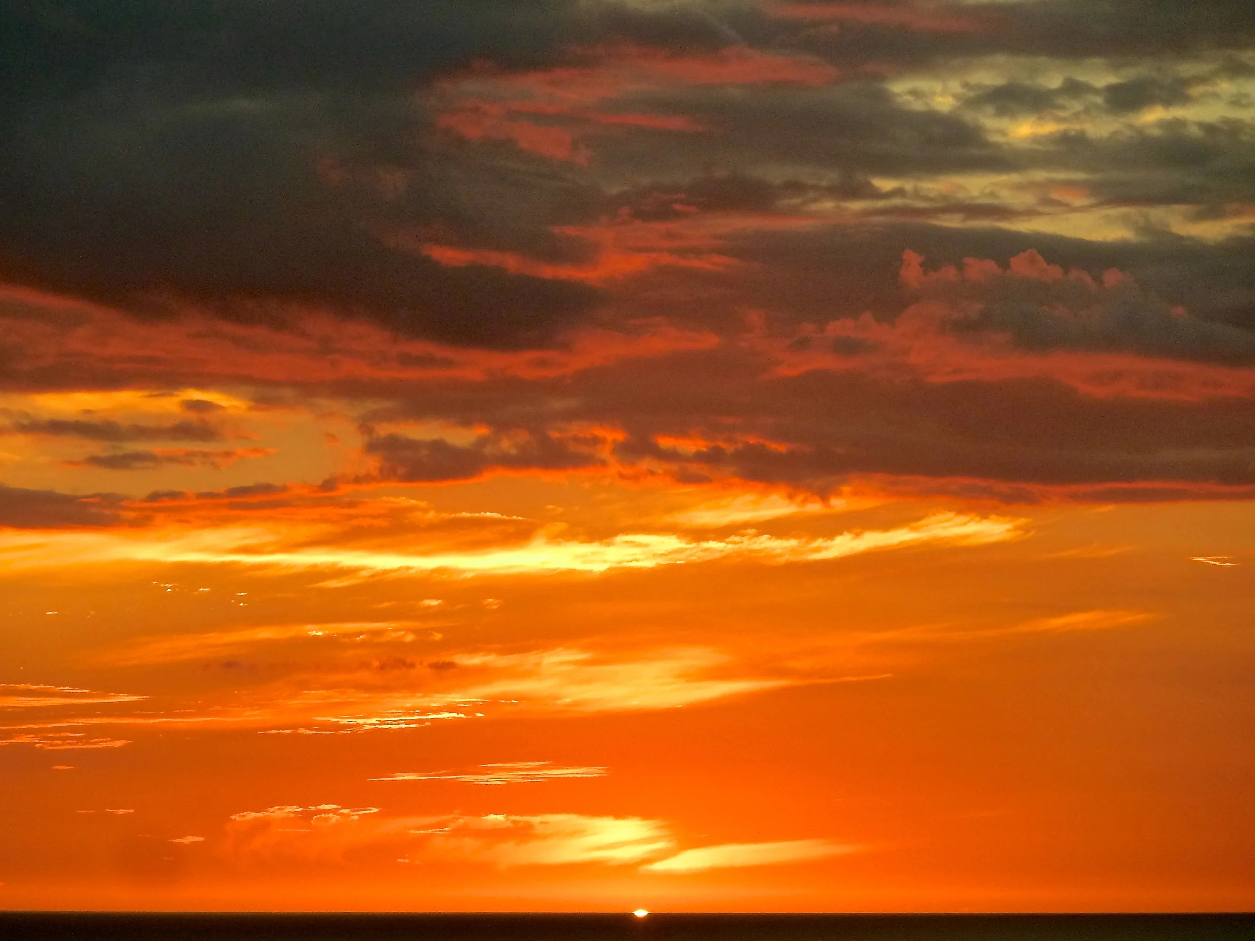 sunset_cindi_spiritedtable_photo1.jpg