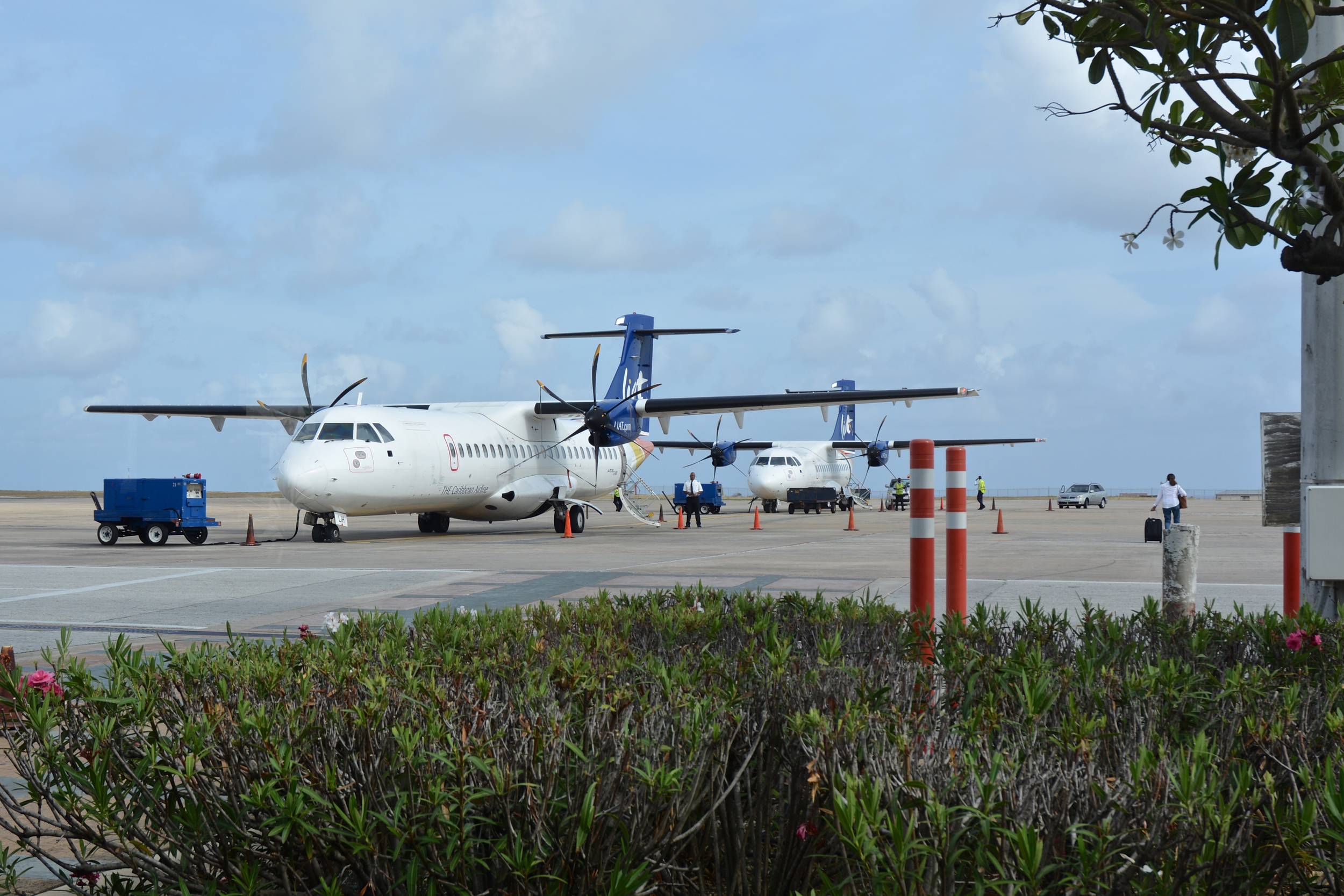 teri_bequia_travel_planerides_spiritedtable_photo02.jpg