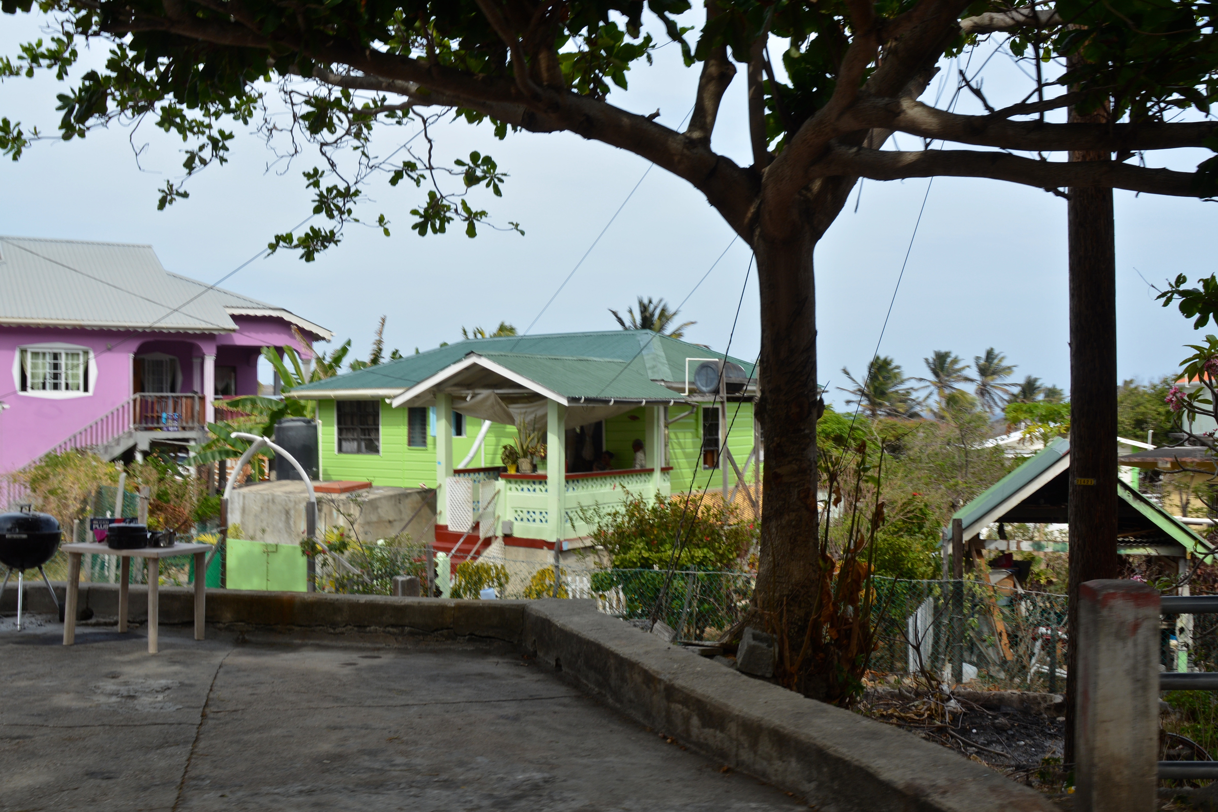 teri_bequia_drivingaround_spiritedtable_photo.04.jpg