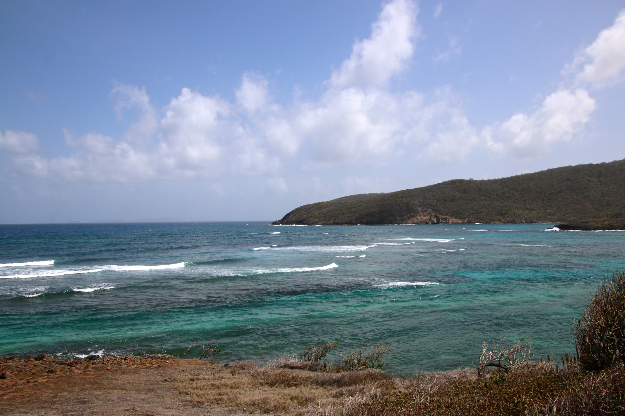 Teri_Bequia_SugarReefBeach_spiritedtable_photo08.jpg