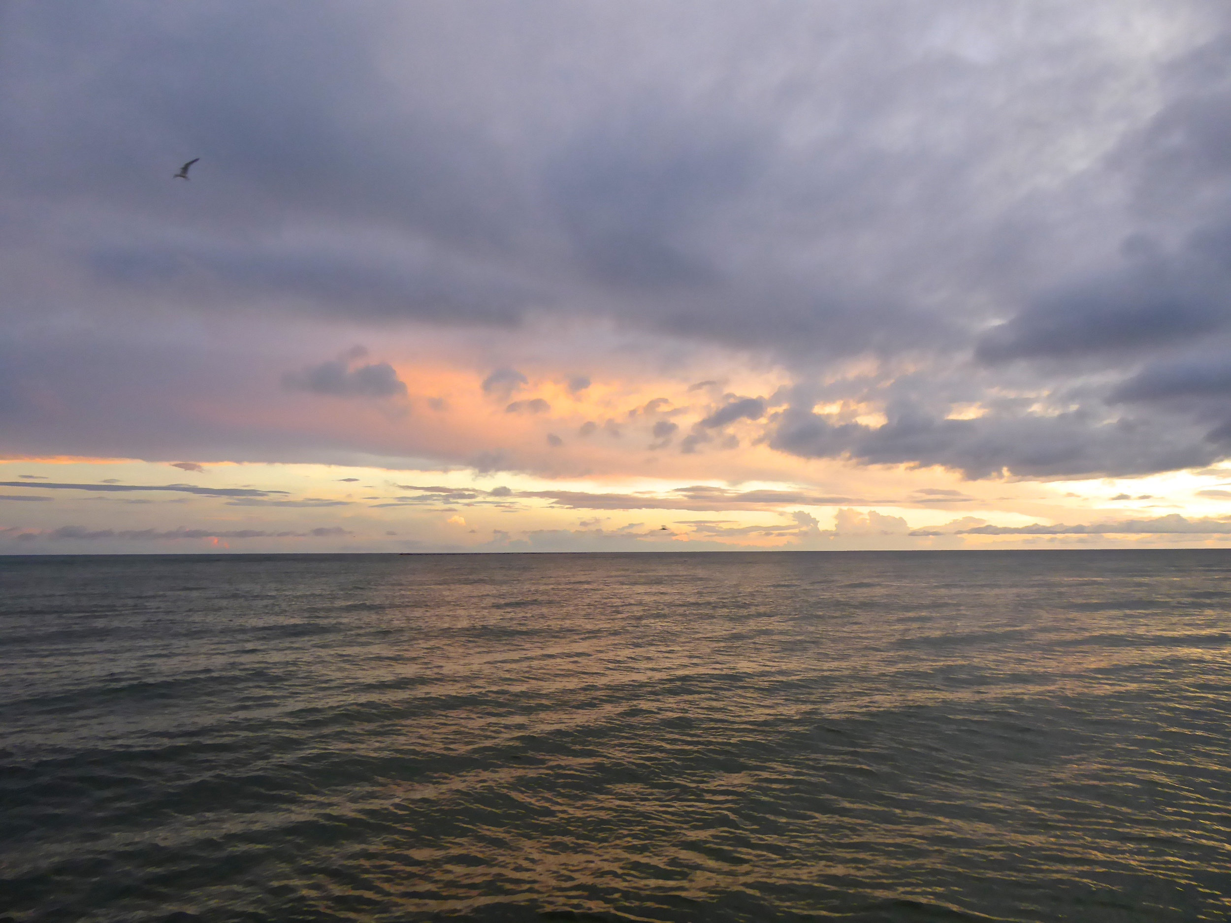 cindi_longboatkey_calmbeforeHermine_spiritedtable_photo.1.jpg