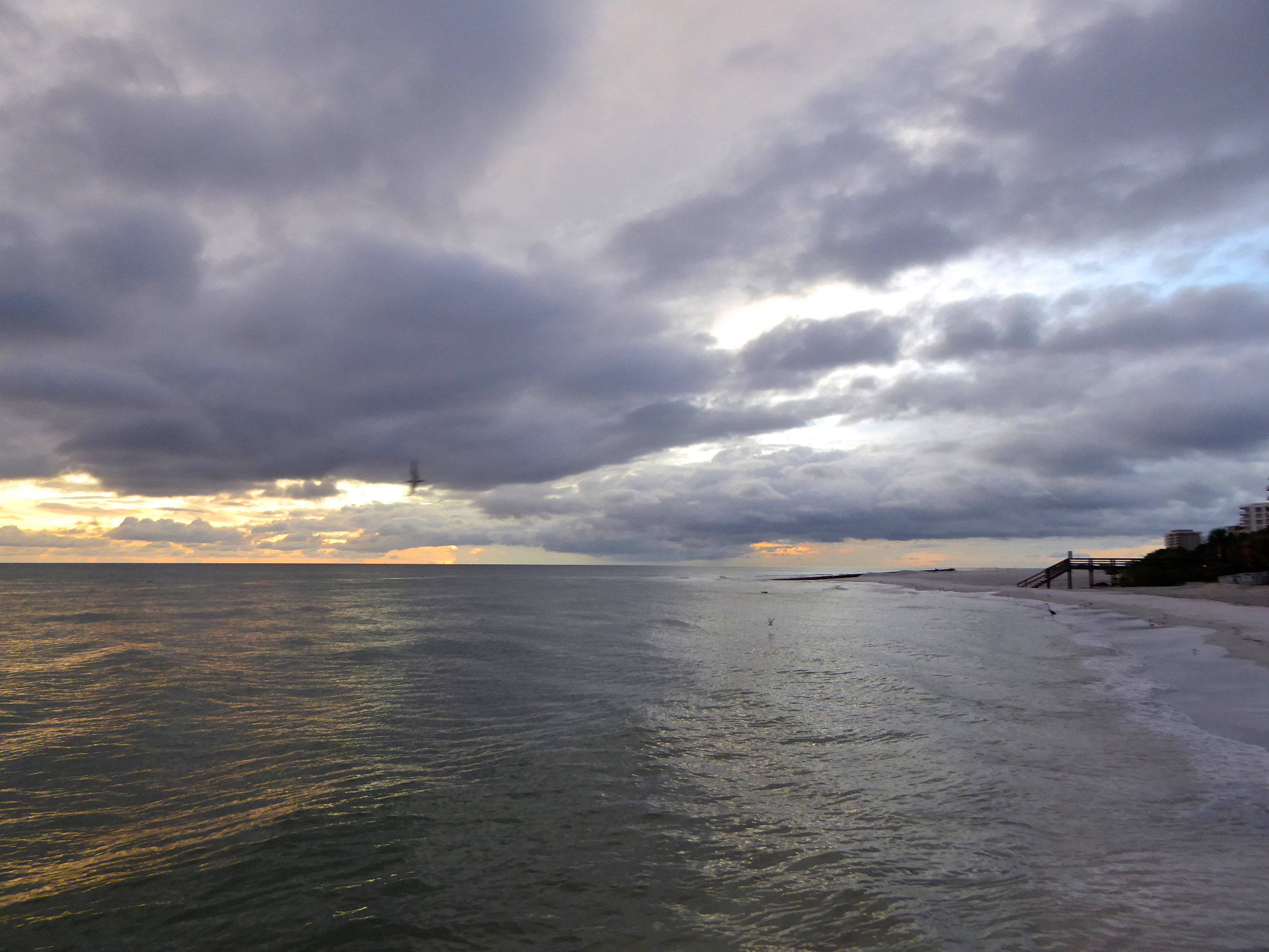 cindi_longboatkey_calmbeforeHermine_spiritedtable_photo.2.jpg