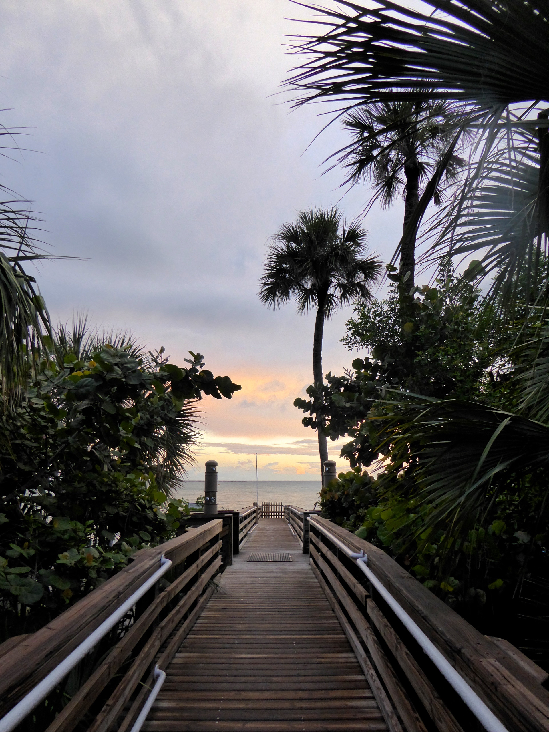 cindi_longboatkey_calmbeforeHermine_spiritedtable_photo.4.jpg