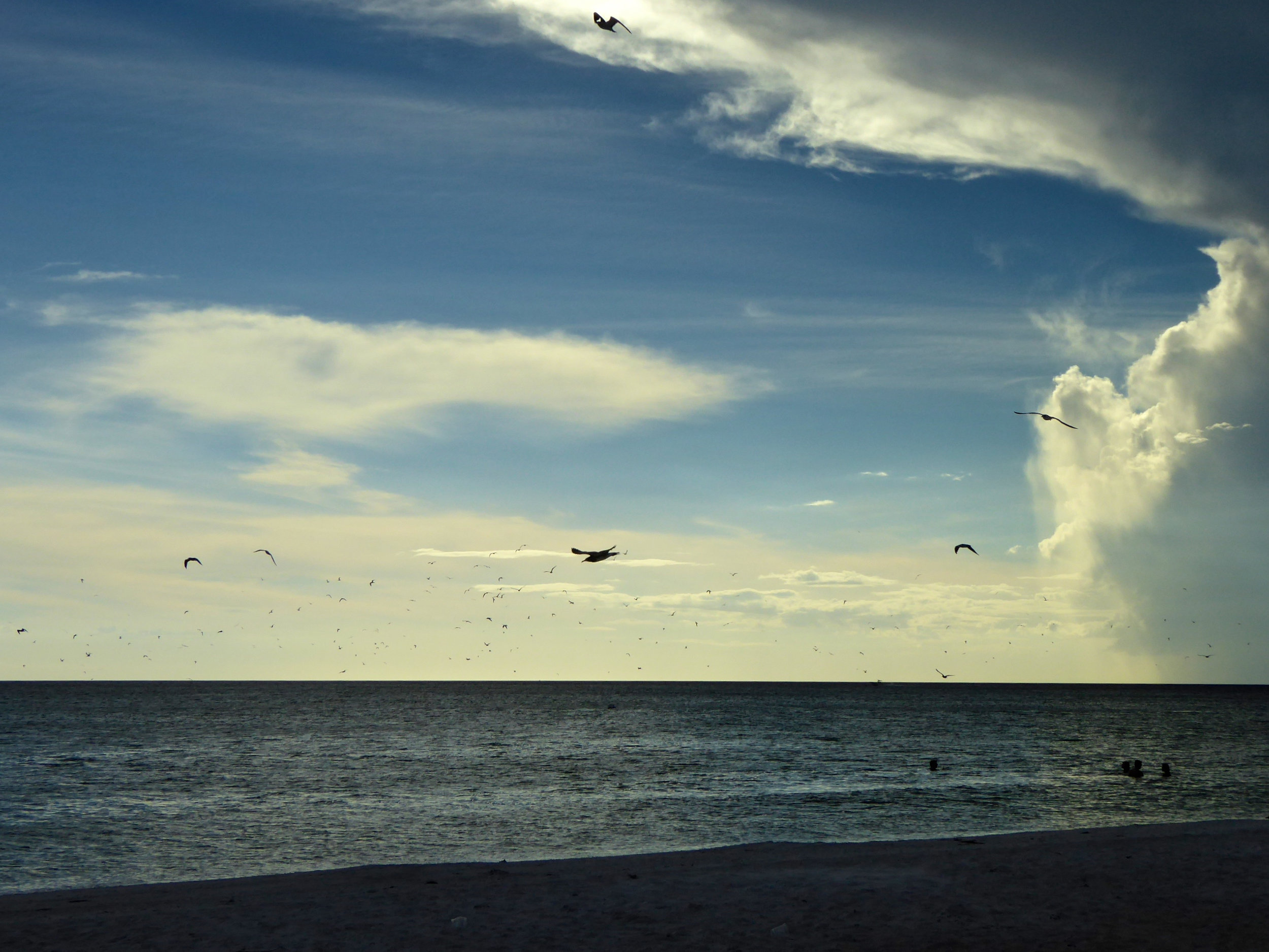 cindi_longboatkey_beach_summerstorm_spiritedtable_photo.2.jpg