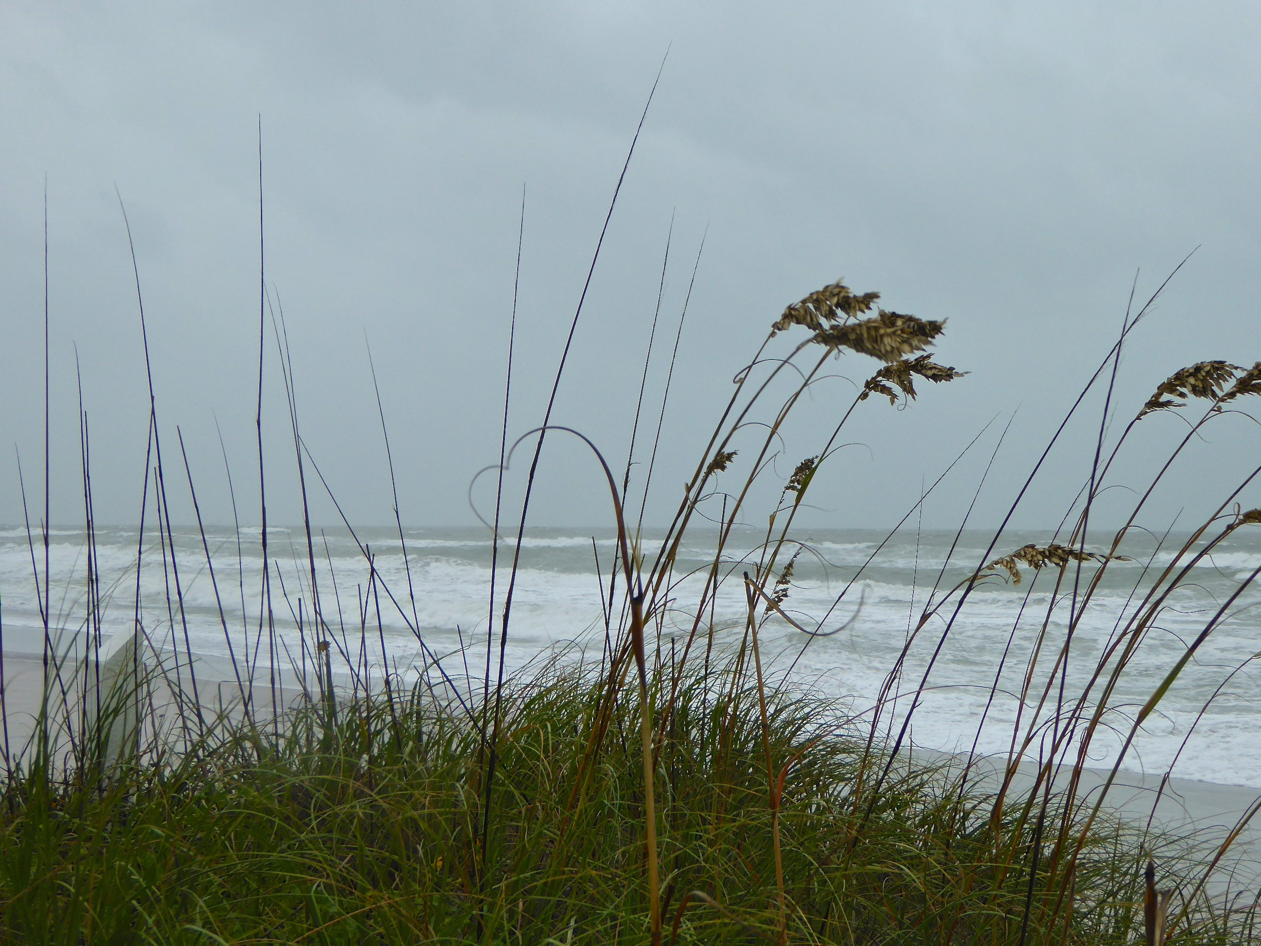 cindi_longboatkey_hermine_spiritedtable_photo.02.jpg