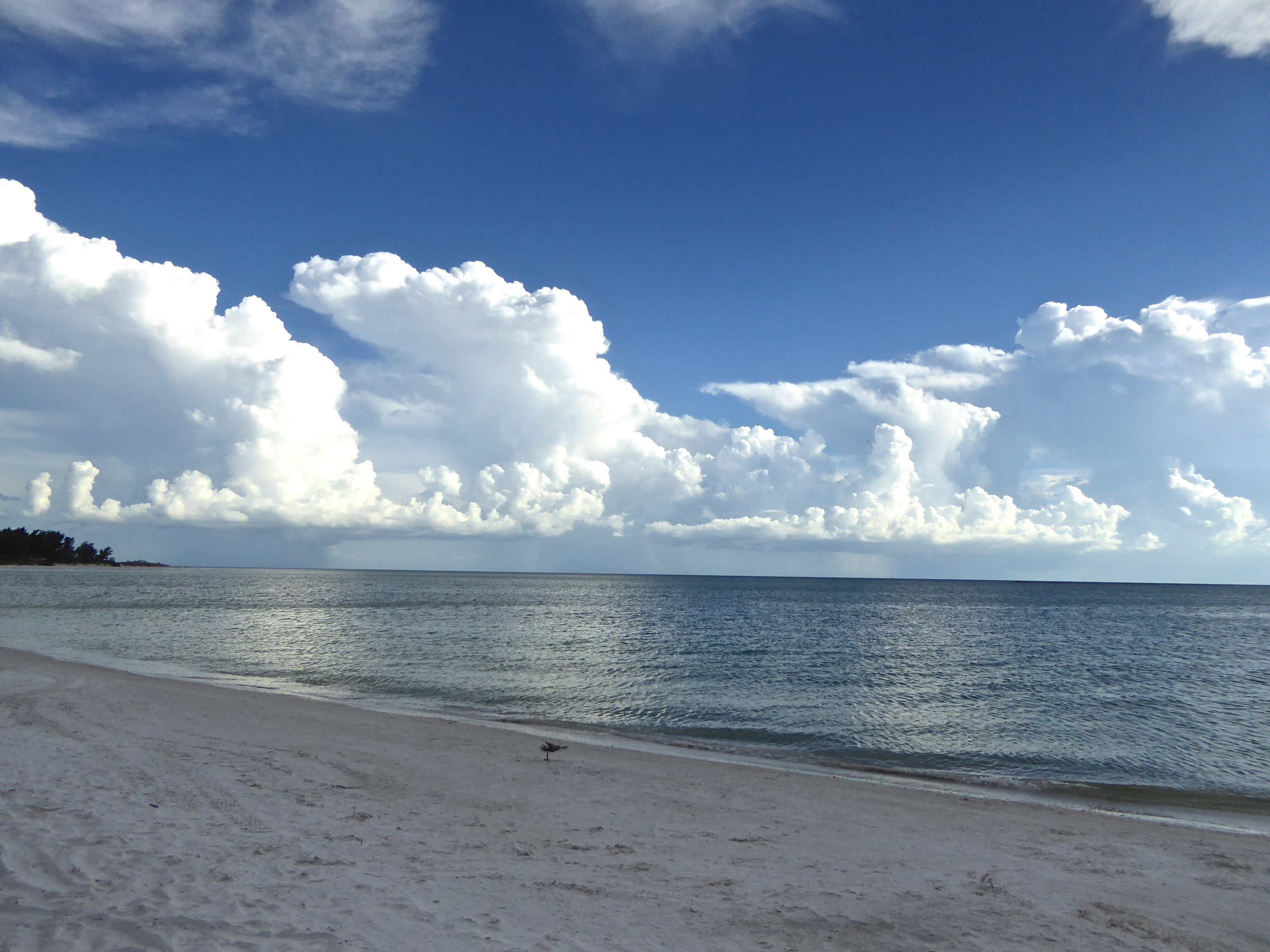 cindi_longboatkey_beach_summerstorm_spiritedtable_photo.3.jpg