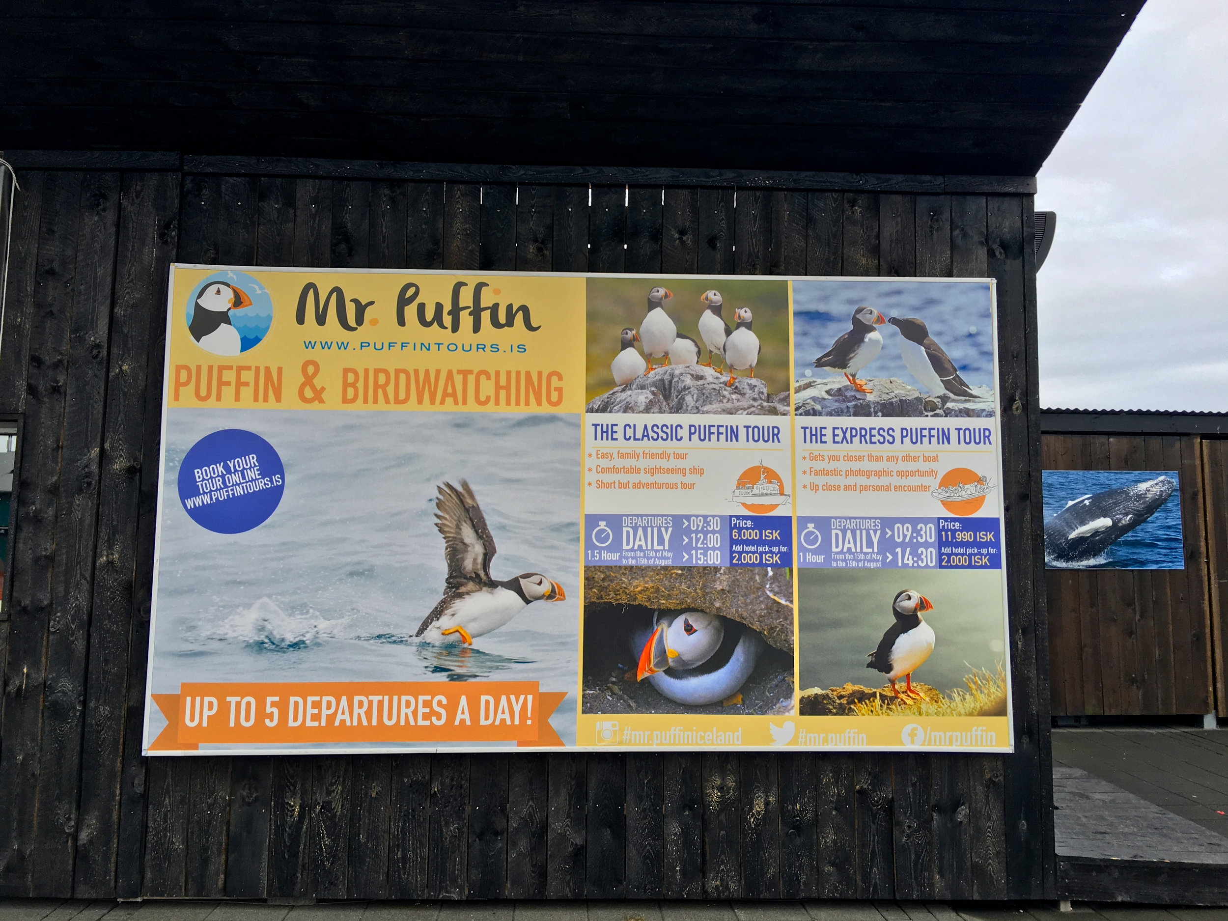 Teri_Iceland_boatride_whales_puffinbirds_spiritedtable_photo.03.jpg