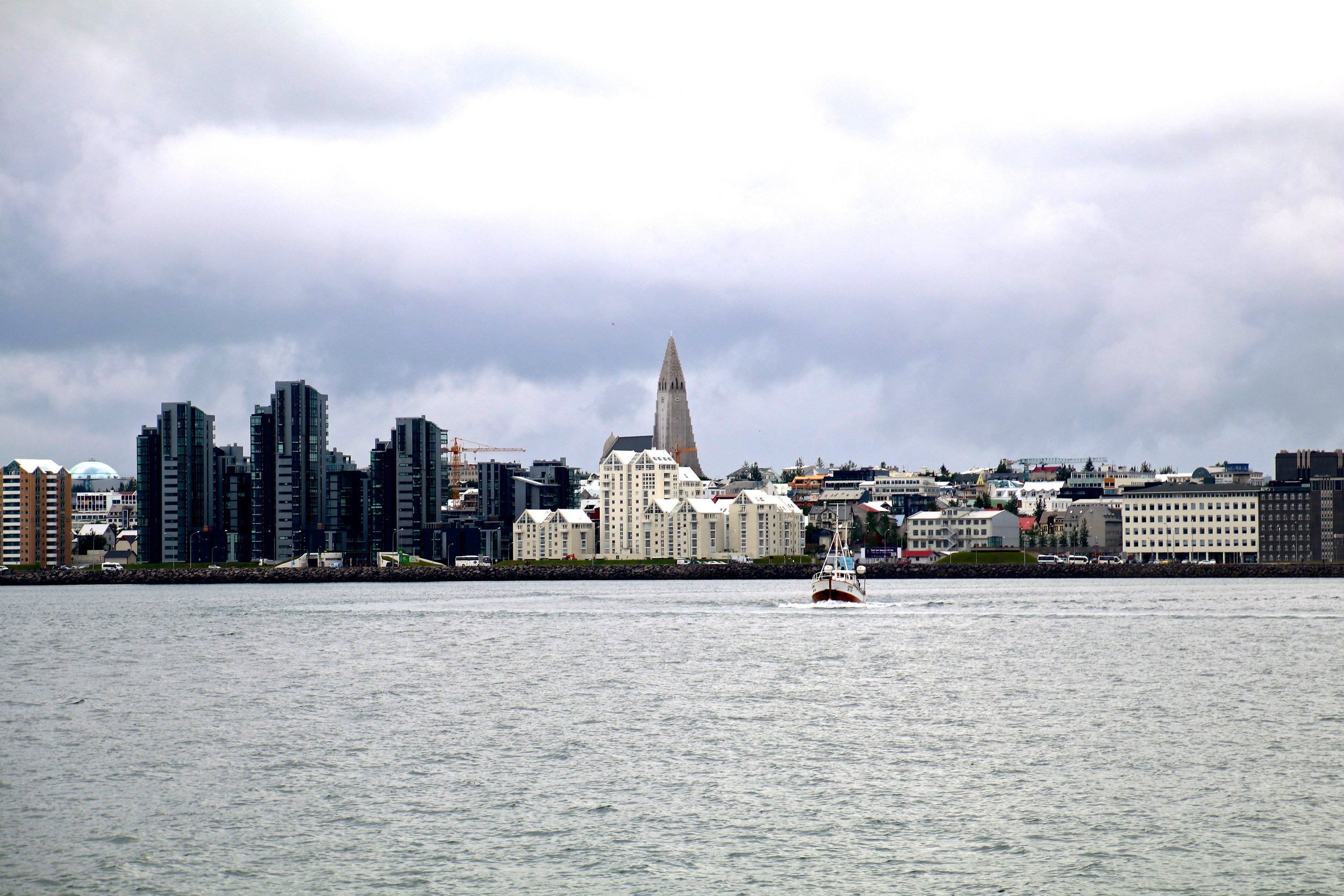 Teri_Iceland_boatride_whales_puffinbirds_spiritedtable_photo.15.jpg