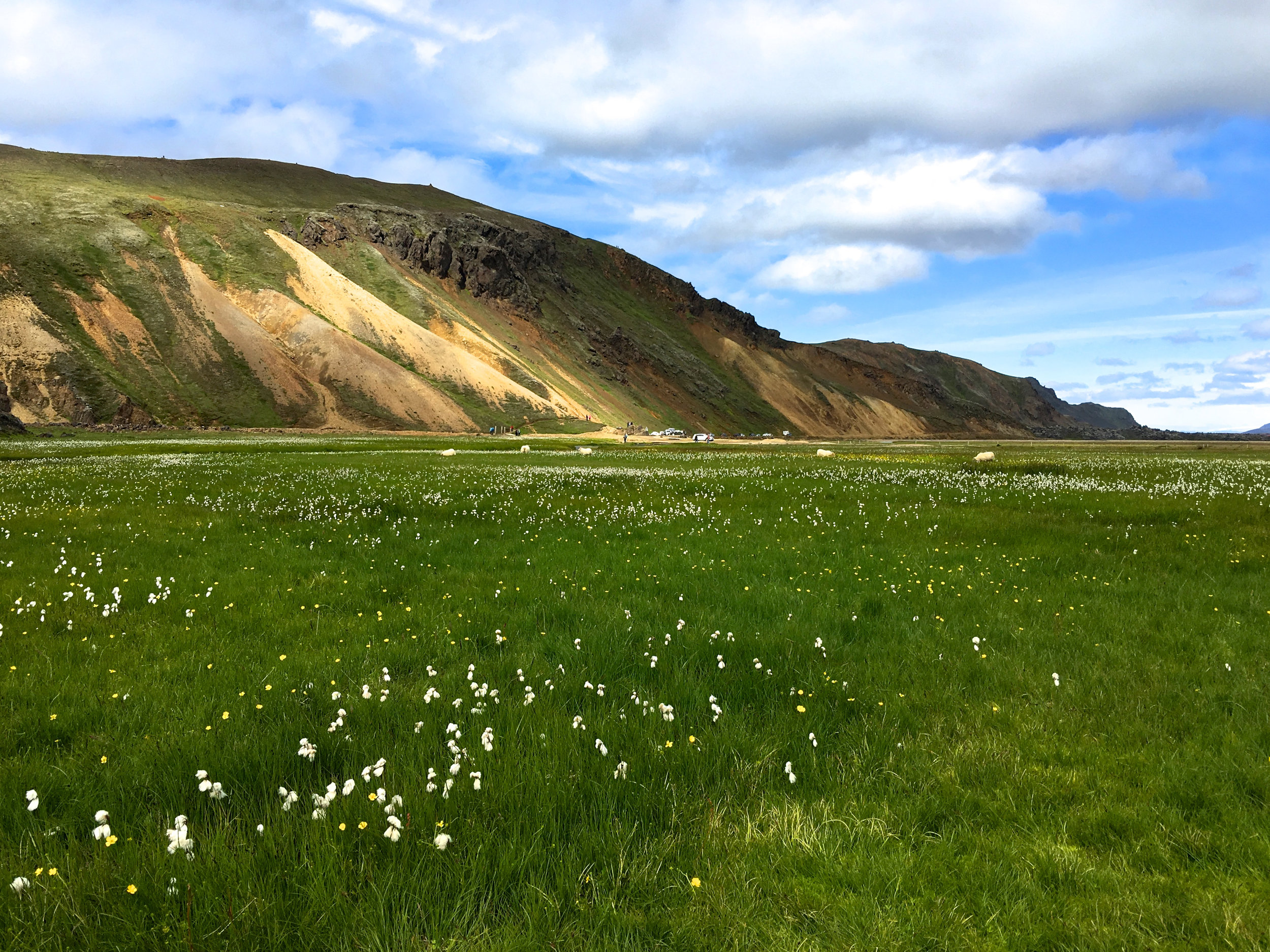 Teri_Iceland_hikes_camping_spiritedtable_photo1.jpg