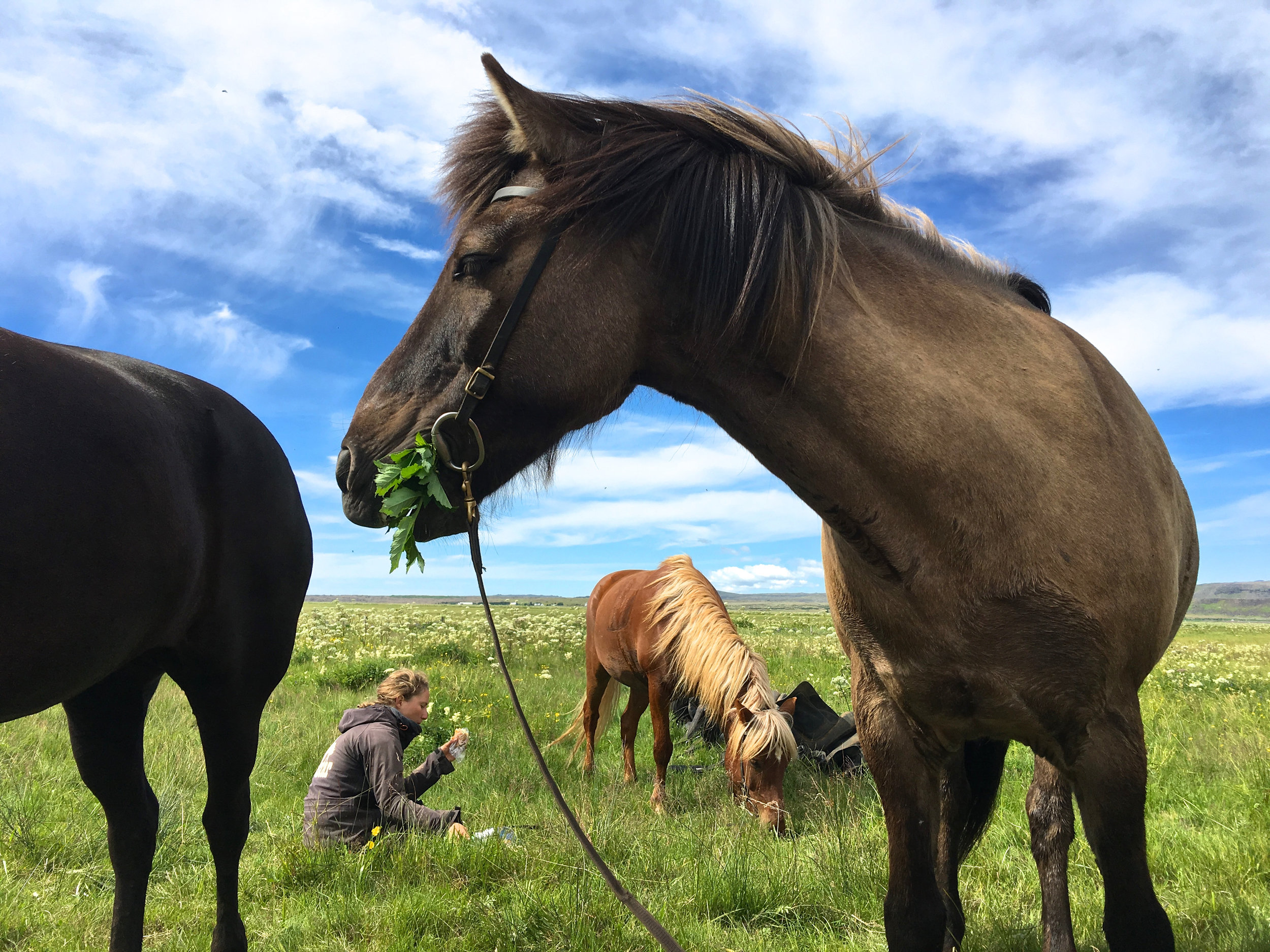 teri_horsebackriding+_Iceland_spiritedtable_photo4.jpg