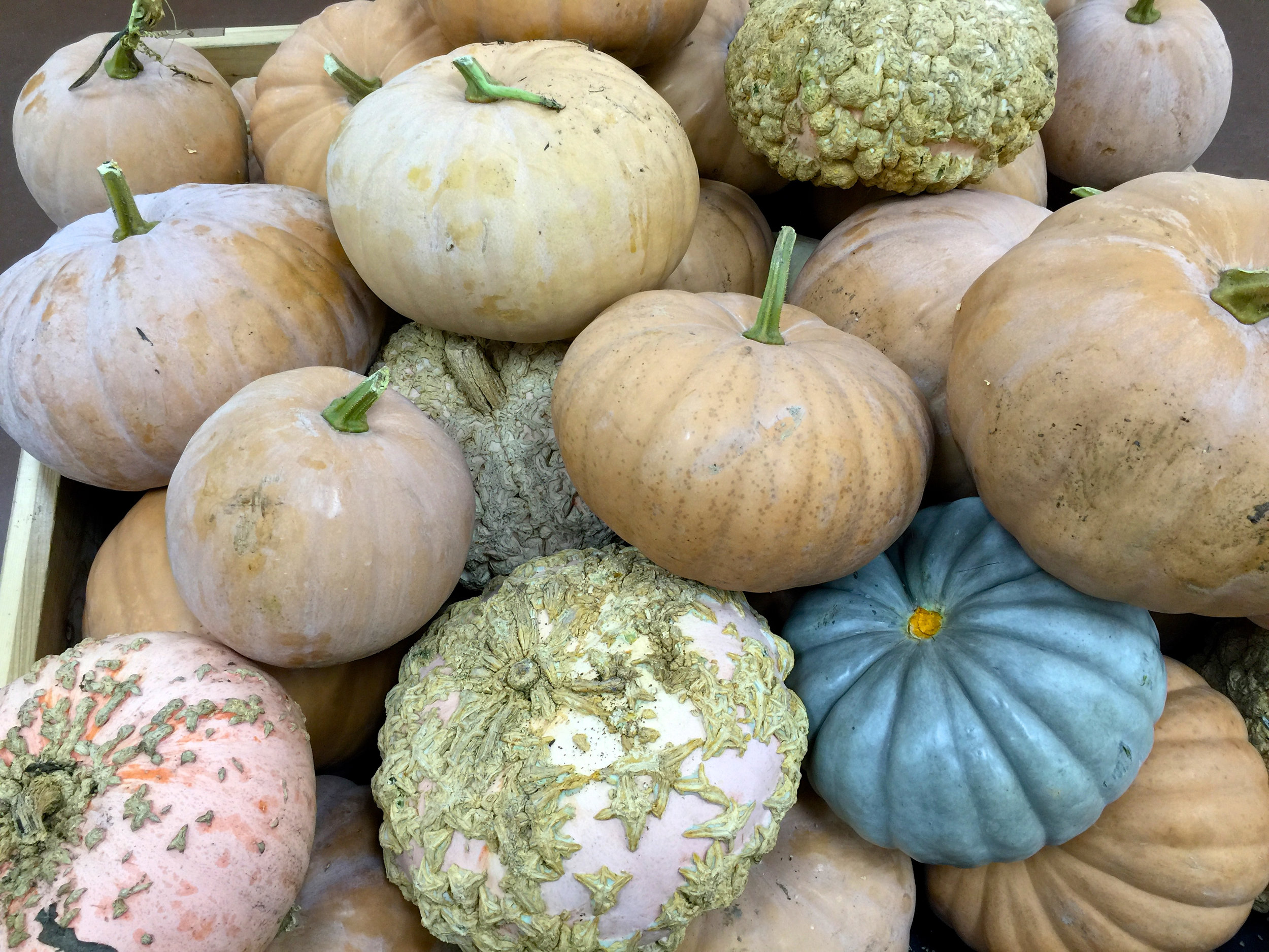 cindi_pumpkins_fall_spiritedtable_photo1.jpg