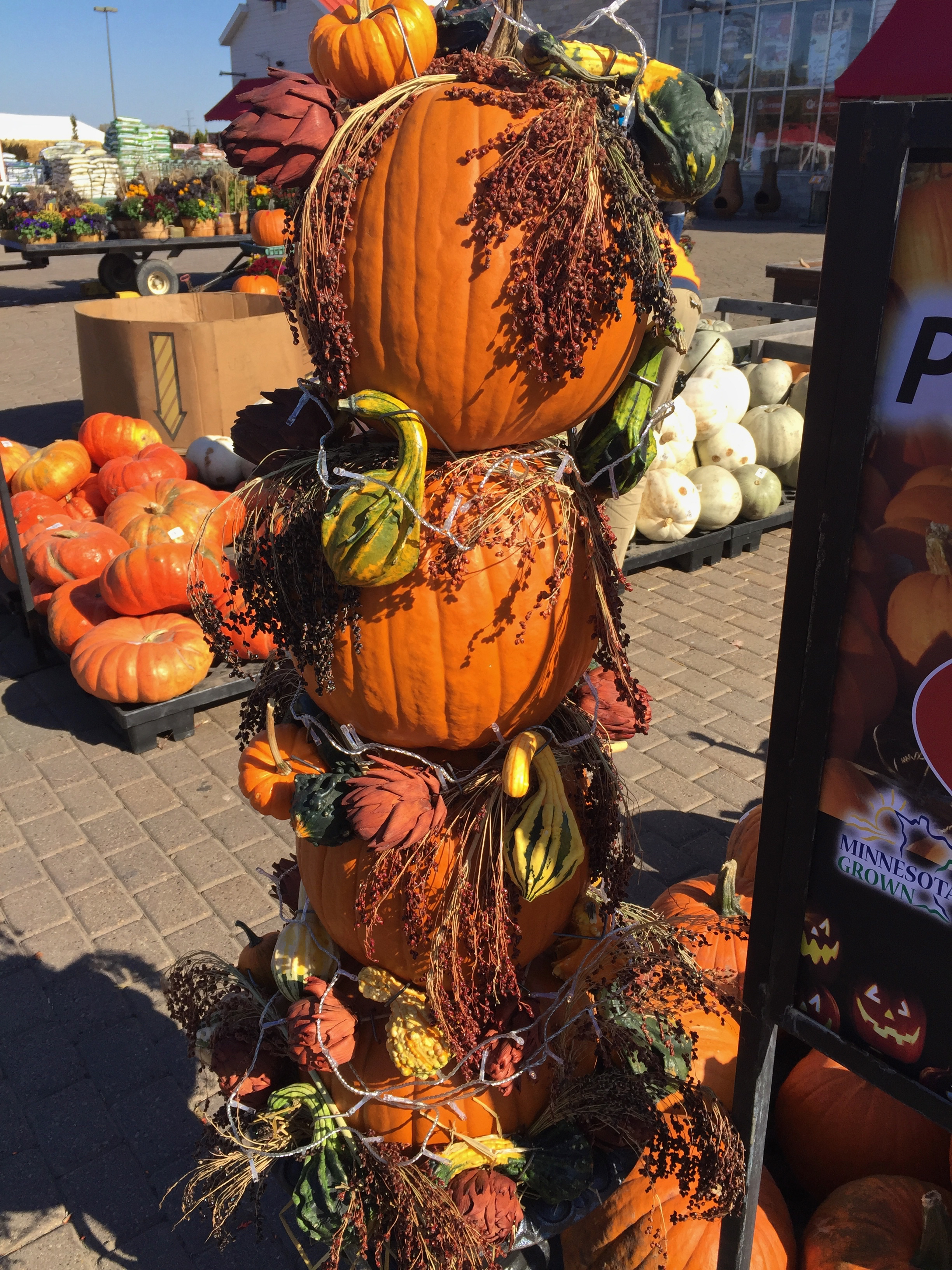 cindi_pumpkins_fall_spiritedtable_photo2.jpg