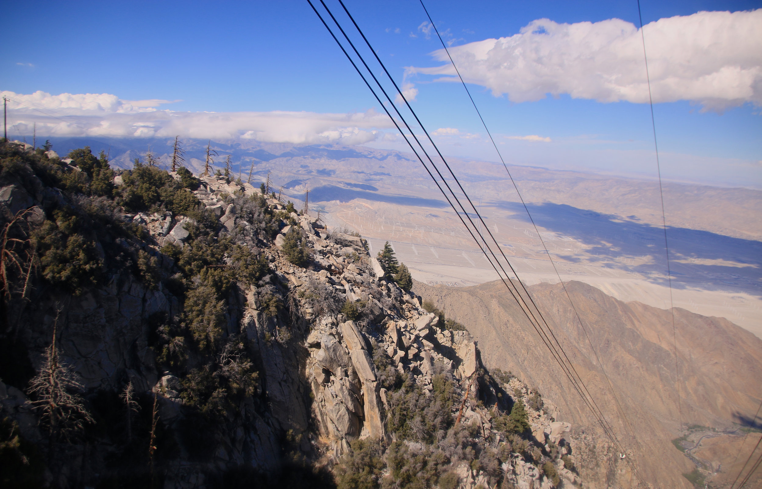 Teri_PalmSprings_scenery_dessert_flora_spiritedtable_photo49.jpg