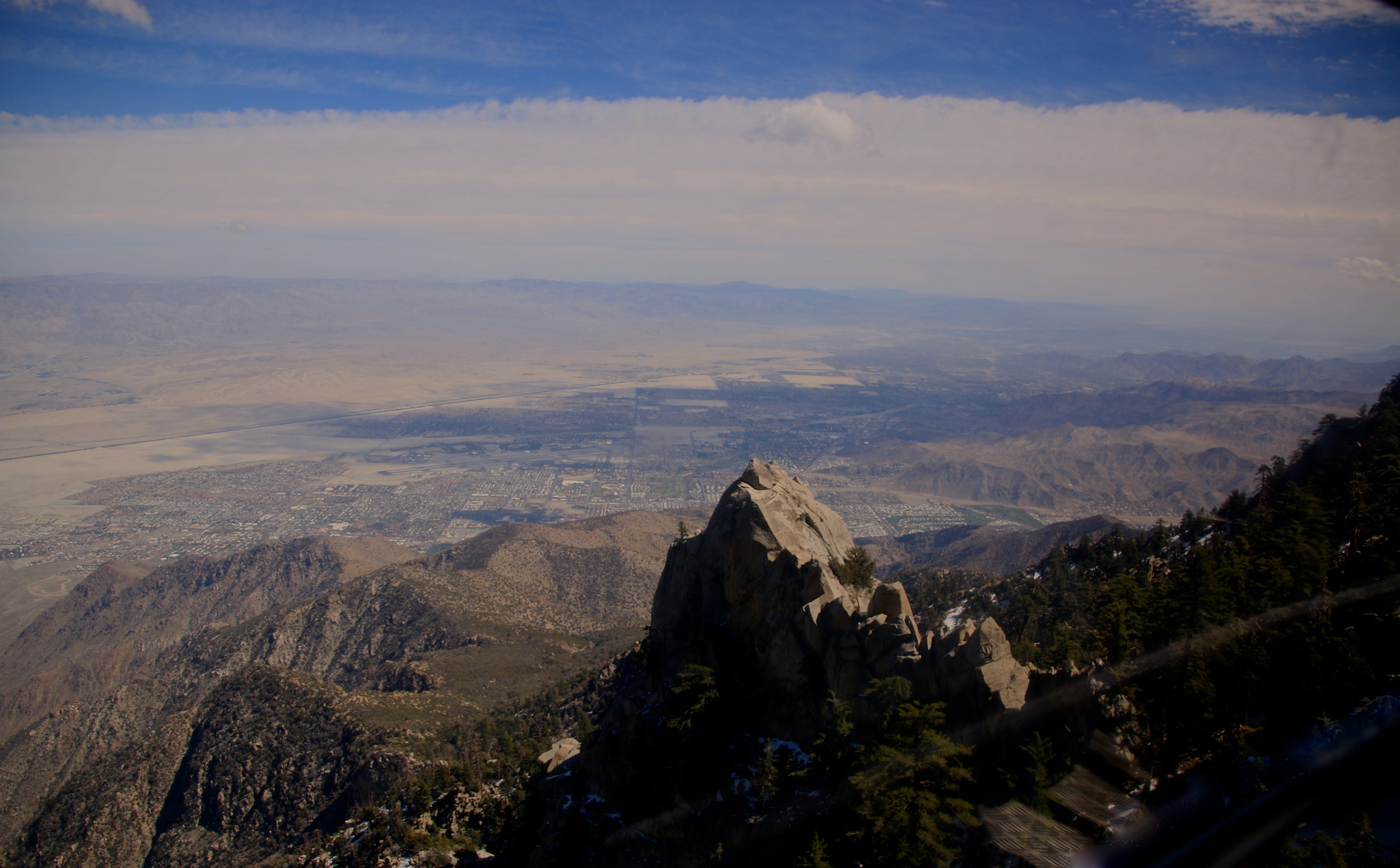 Teri_PalmSprings_scenery_dessert_flora_spiritedtable_photo71.jpg