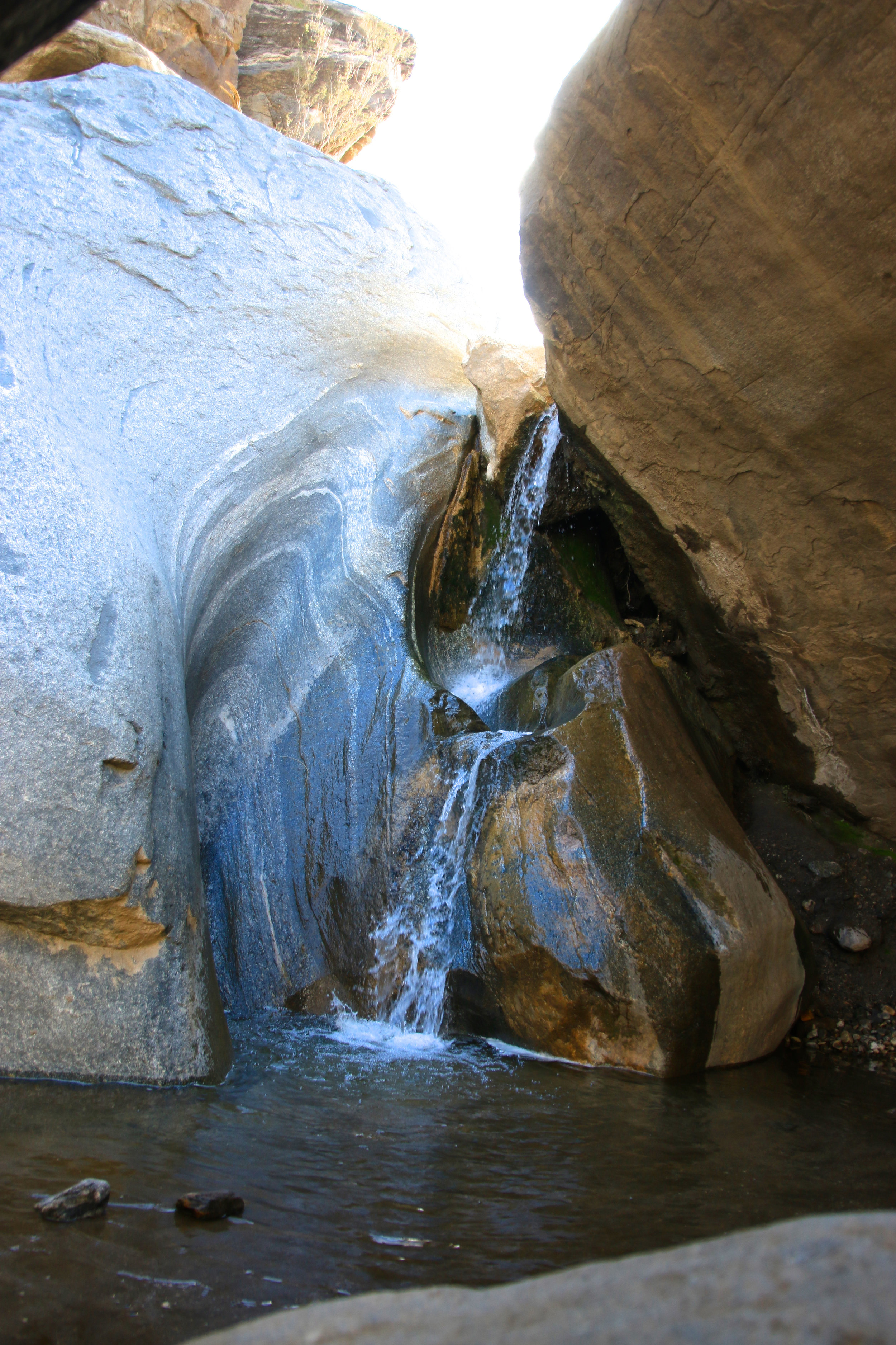 Teri_PalmSprings_scenery_dessert_flora_spiritedtable_photo27.jpg