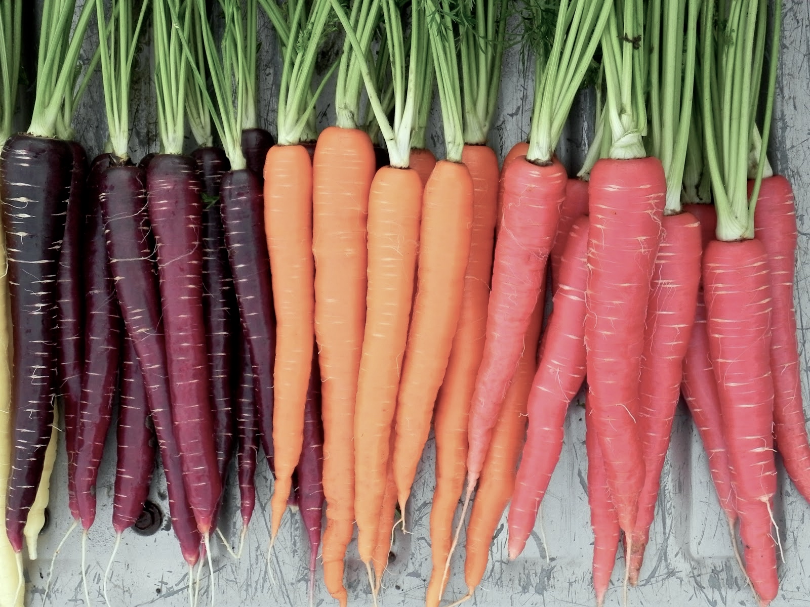 Carrot-Nutri-Red-Sugarsnax-Purplesnax.jpg