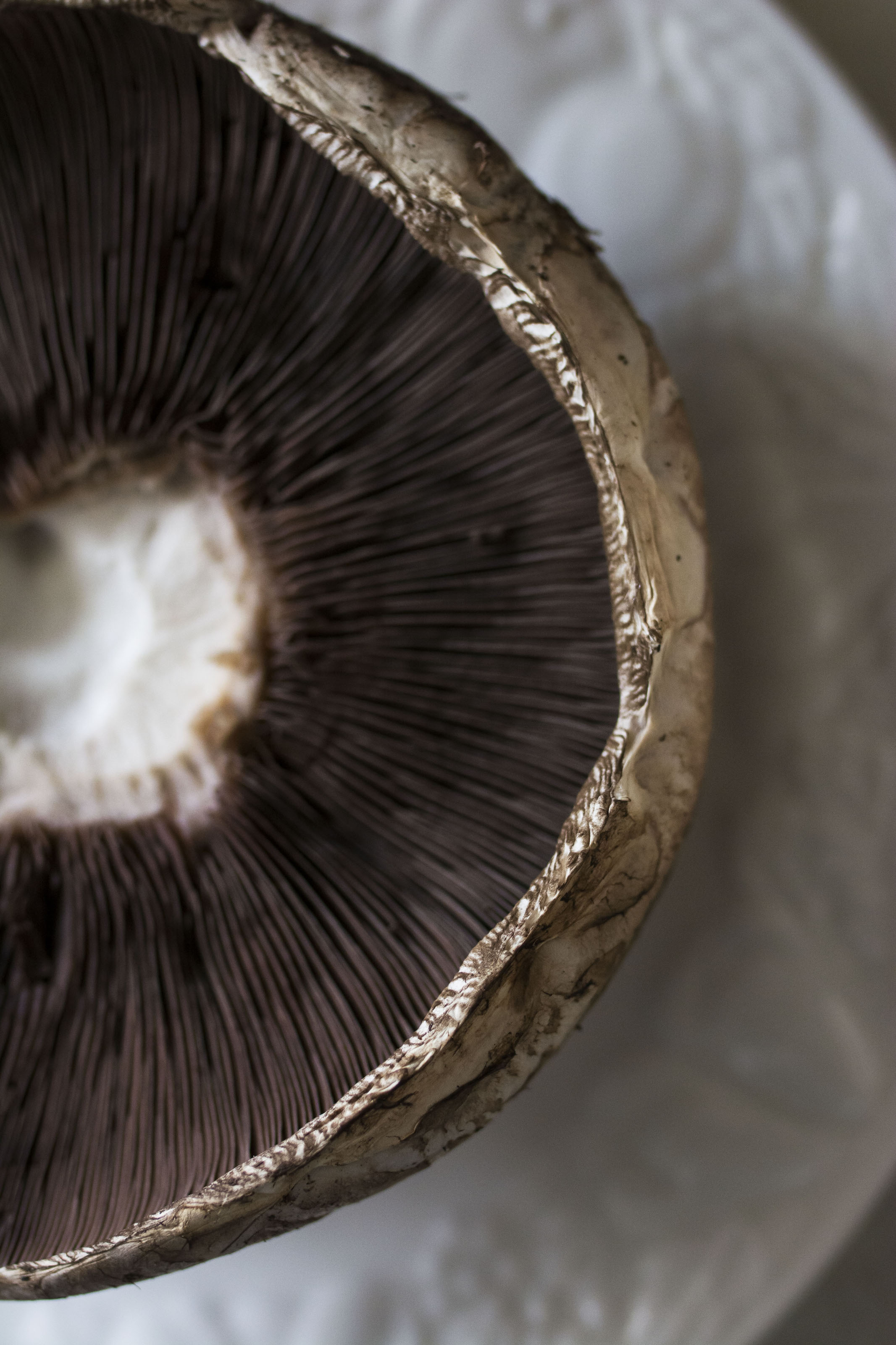 kristine_mushroom_veggie_spiritedtable_photo.jpg