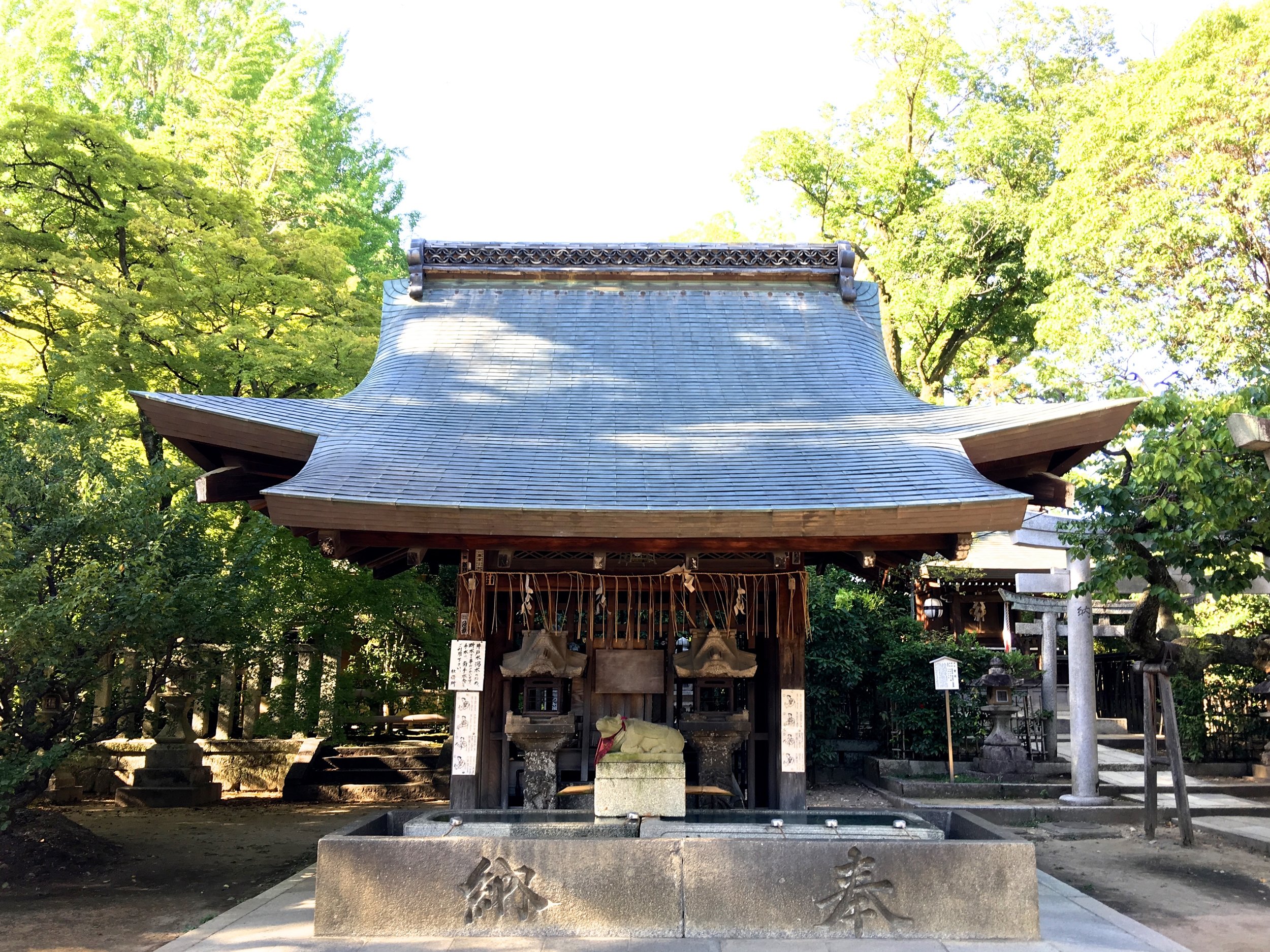 teri_Japan_Kyoto_Shrine_spiritedtable_photo03.jpg