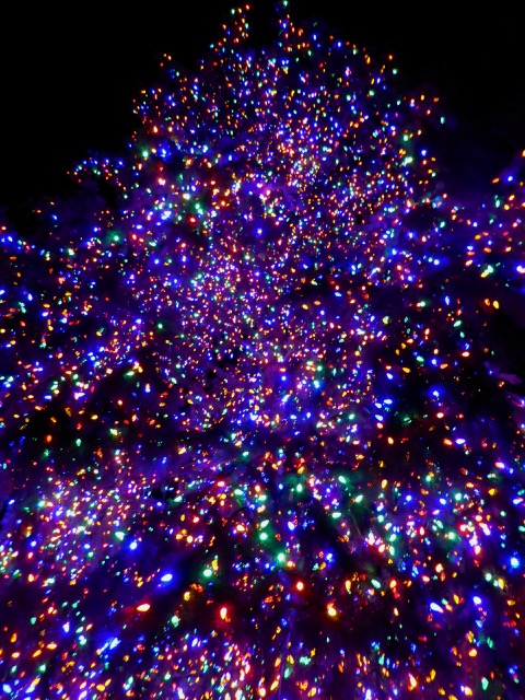 cindi_vail_lights_tree_spiritedtable_photo1.jpg