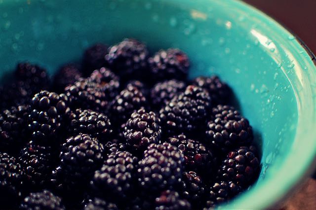 kristine_blackberries_fruit_spiritedtable_photo1.jpg