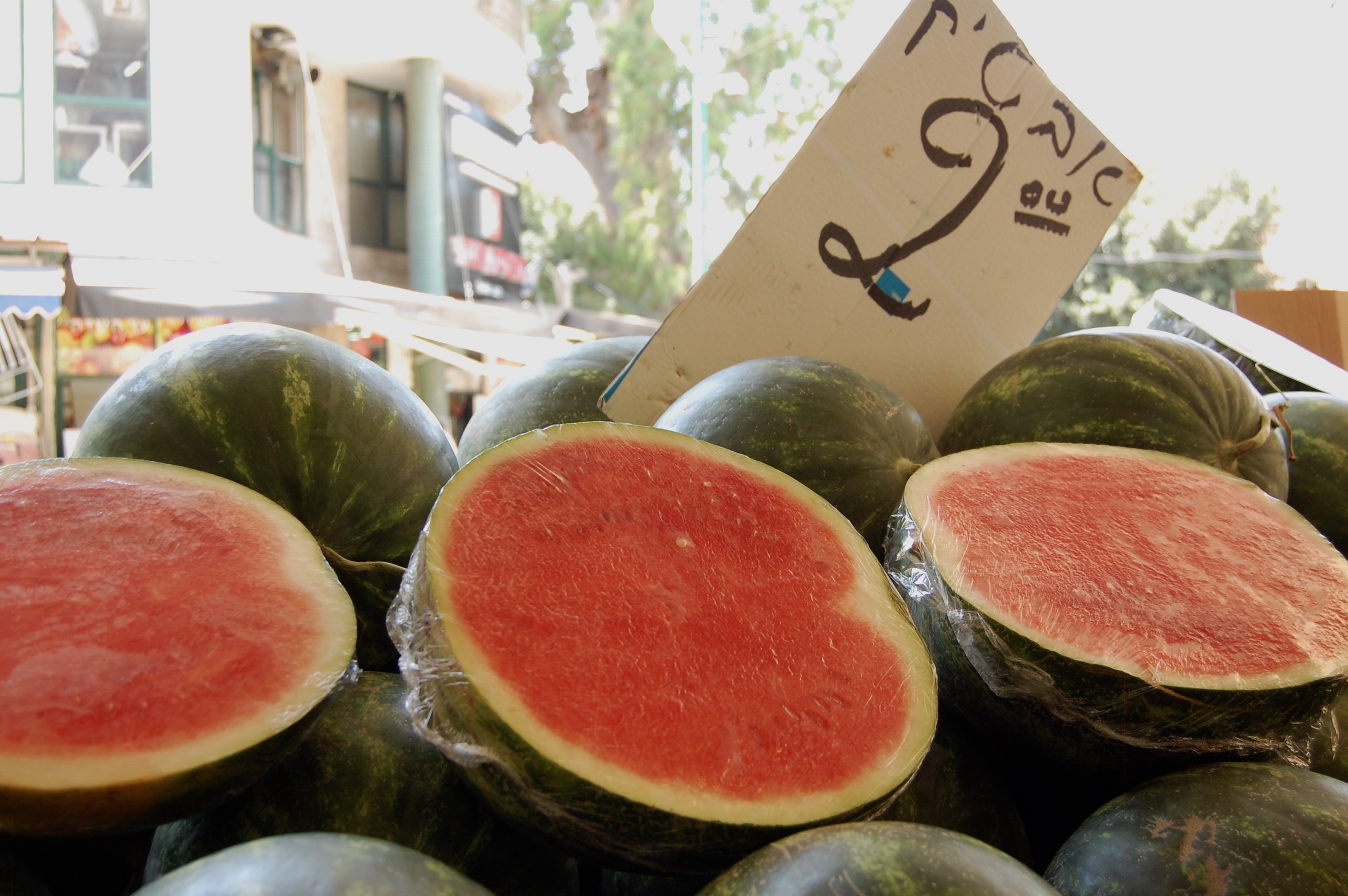 zehorit_watermelon_spiritedtable_photo3.jpg