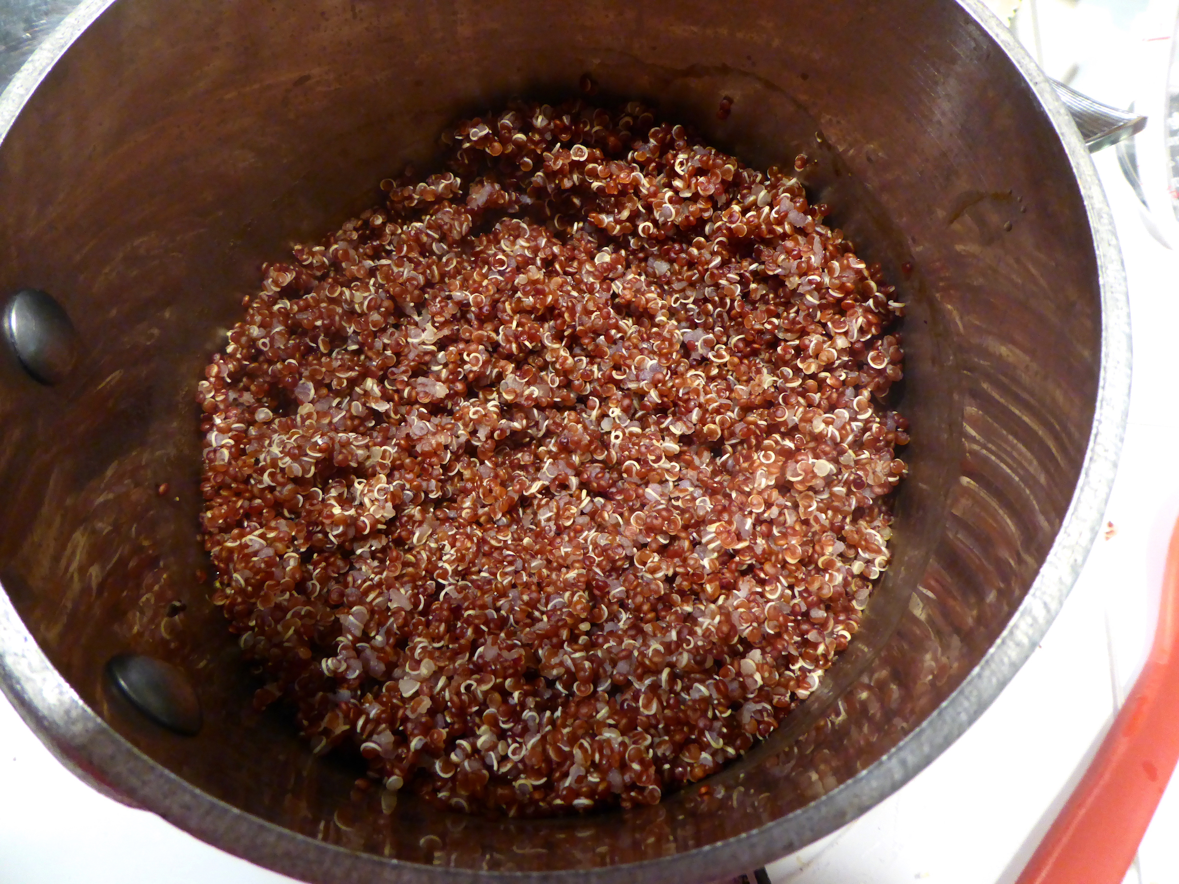 cindi_quinoa_spiritedtable_photo1.jpg