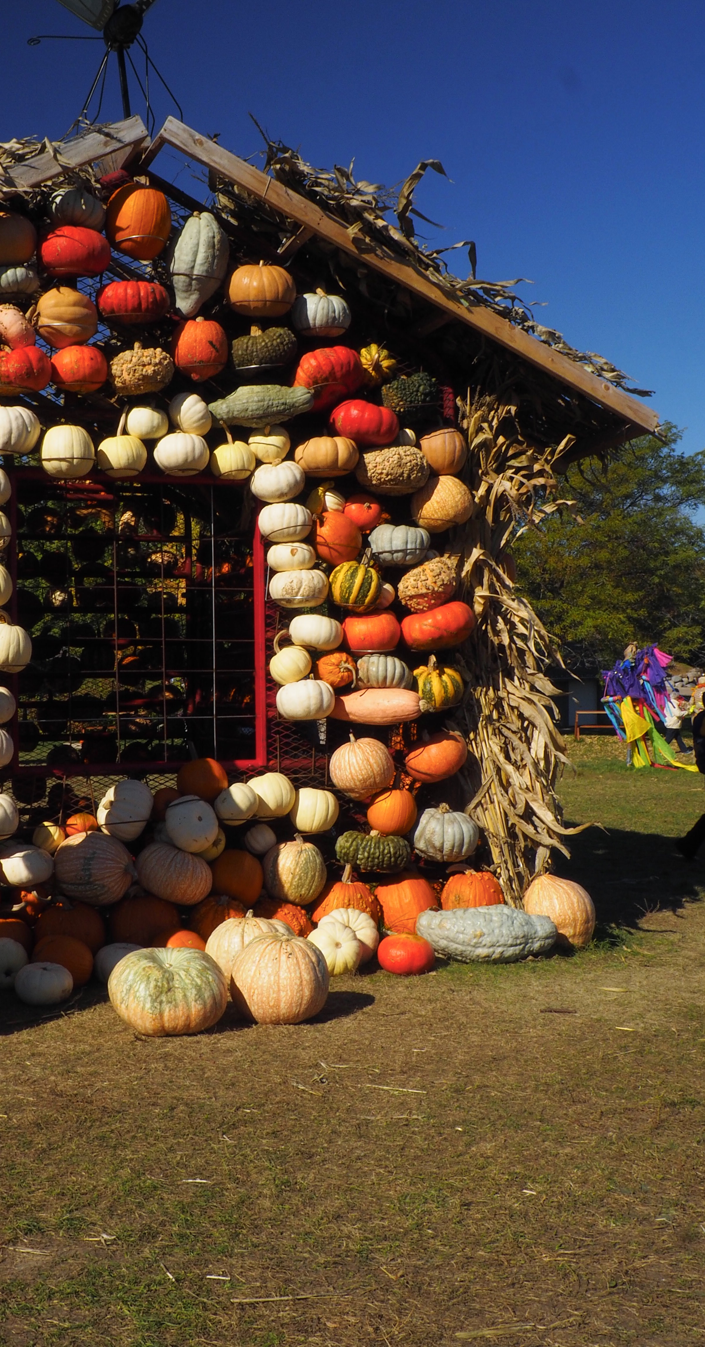 cindi_Pumpkin_house_MN_Arboretum_spiritedtable_photo1.jpg