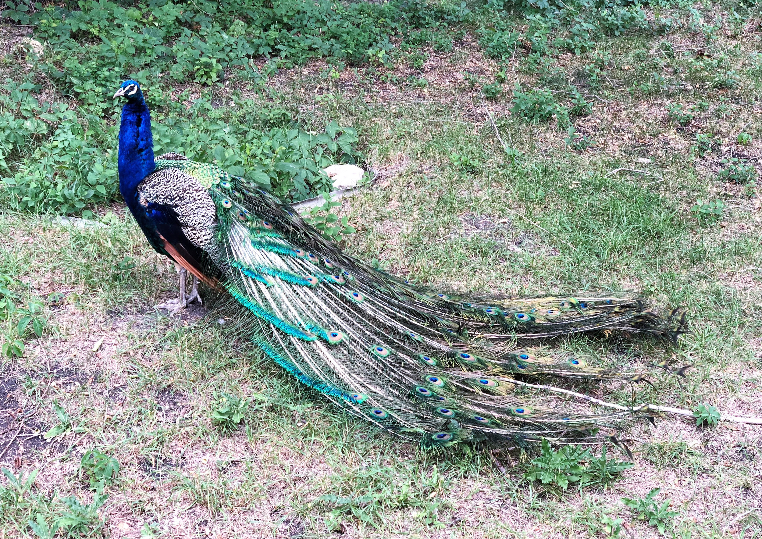 Teri_artic_canada_zoo_spiritedtable_photo10.jpg