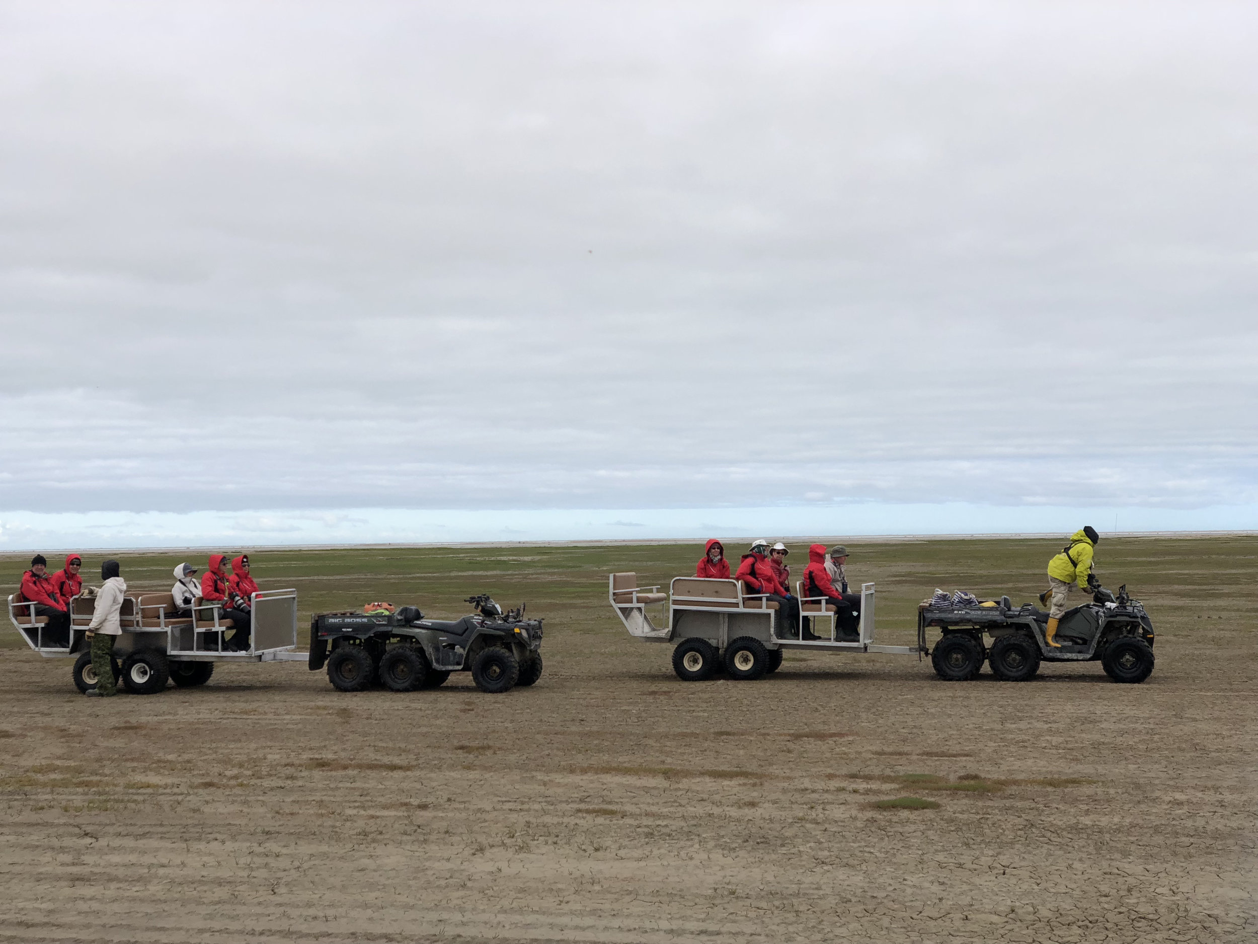 teri_arctic_canada_polarbeer_spiritedtable_photo17.jpg