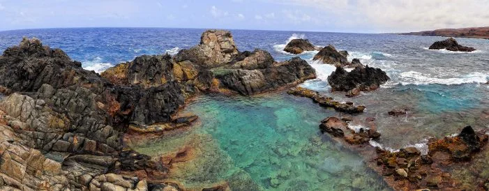 aruba-conchi-701x274.jpeg