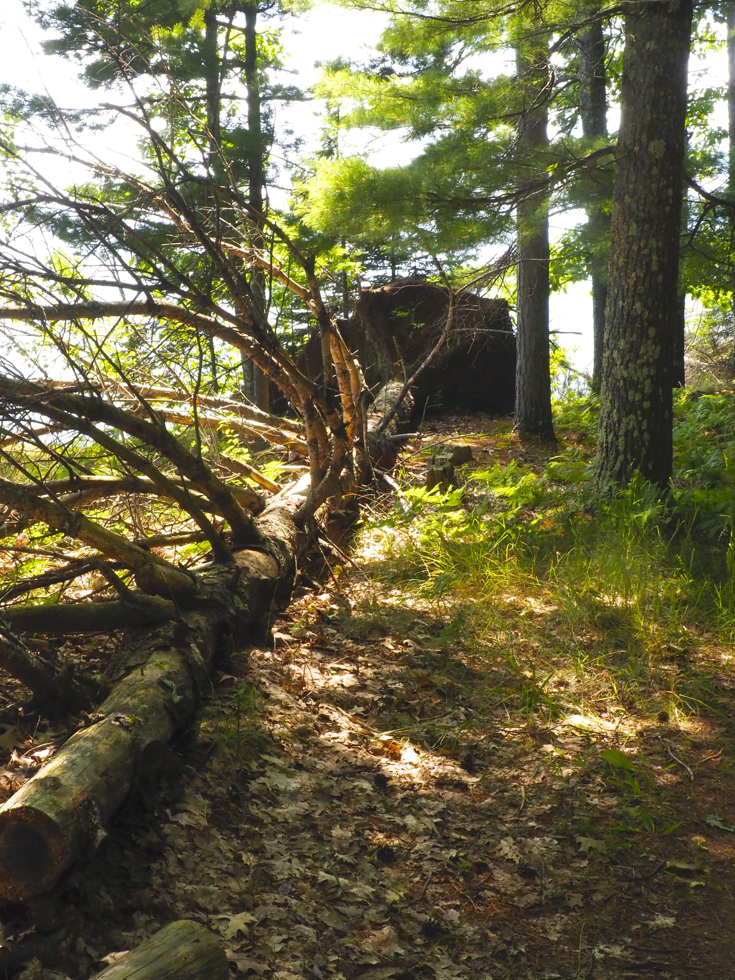 cindi_Madeline_NationalForest_rockcliffs_spiritedtable_photo02.jpg