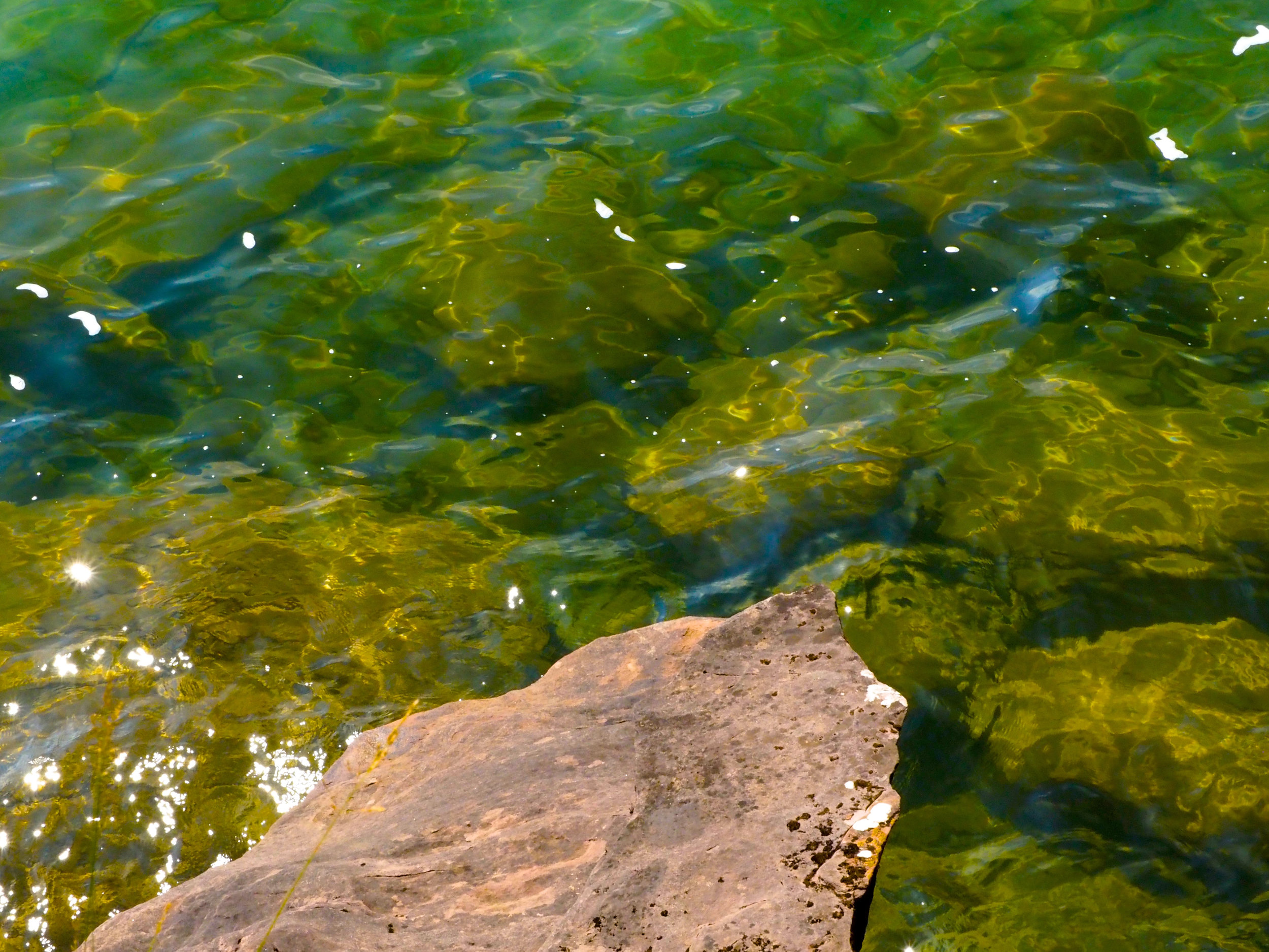cindi_Madeline_NationalForest_rockcliffs_spiritedtable_photo4.jpg