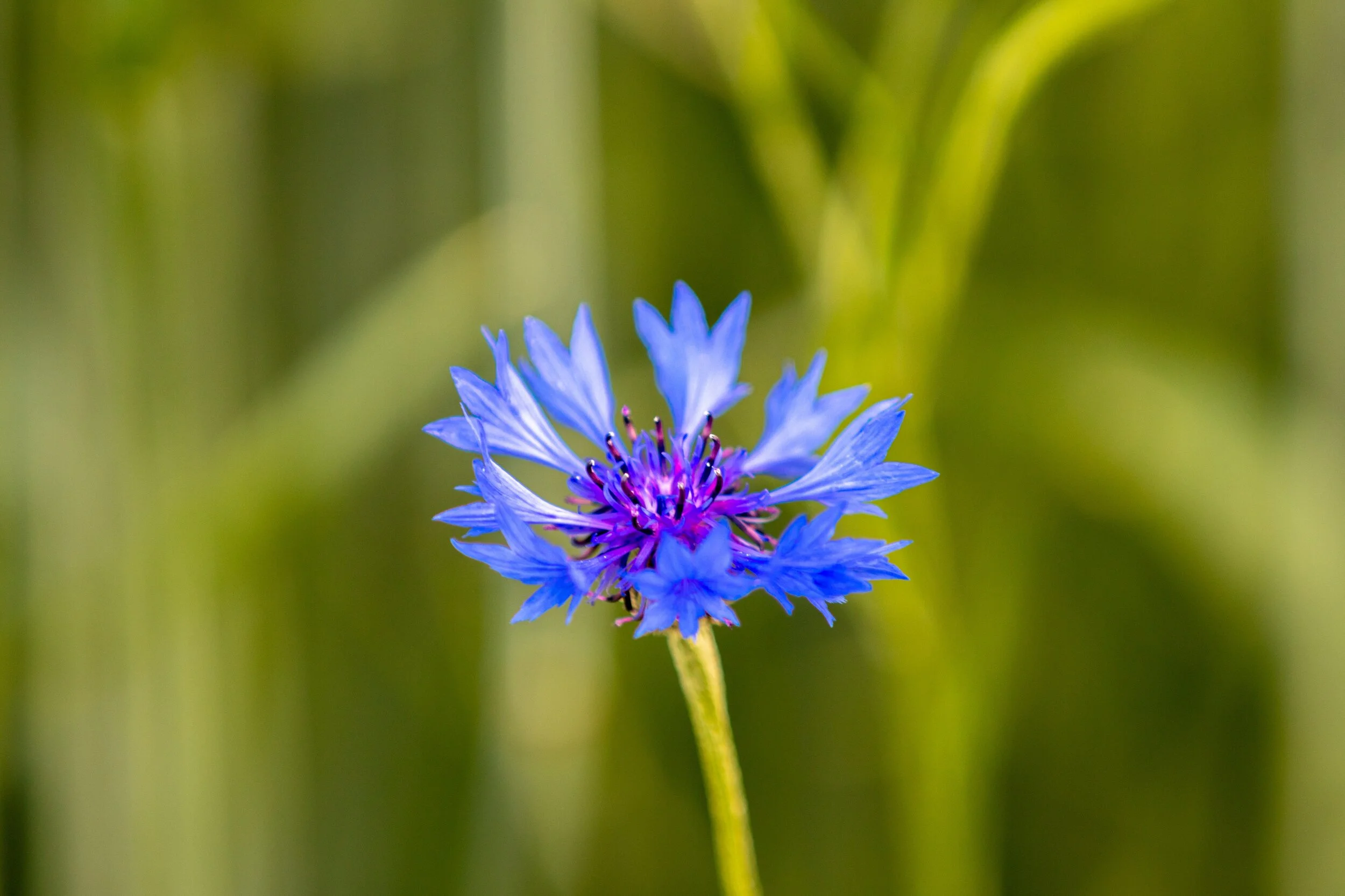 Photo by Andreas Schantl on Unsplash