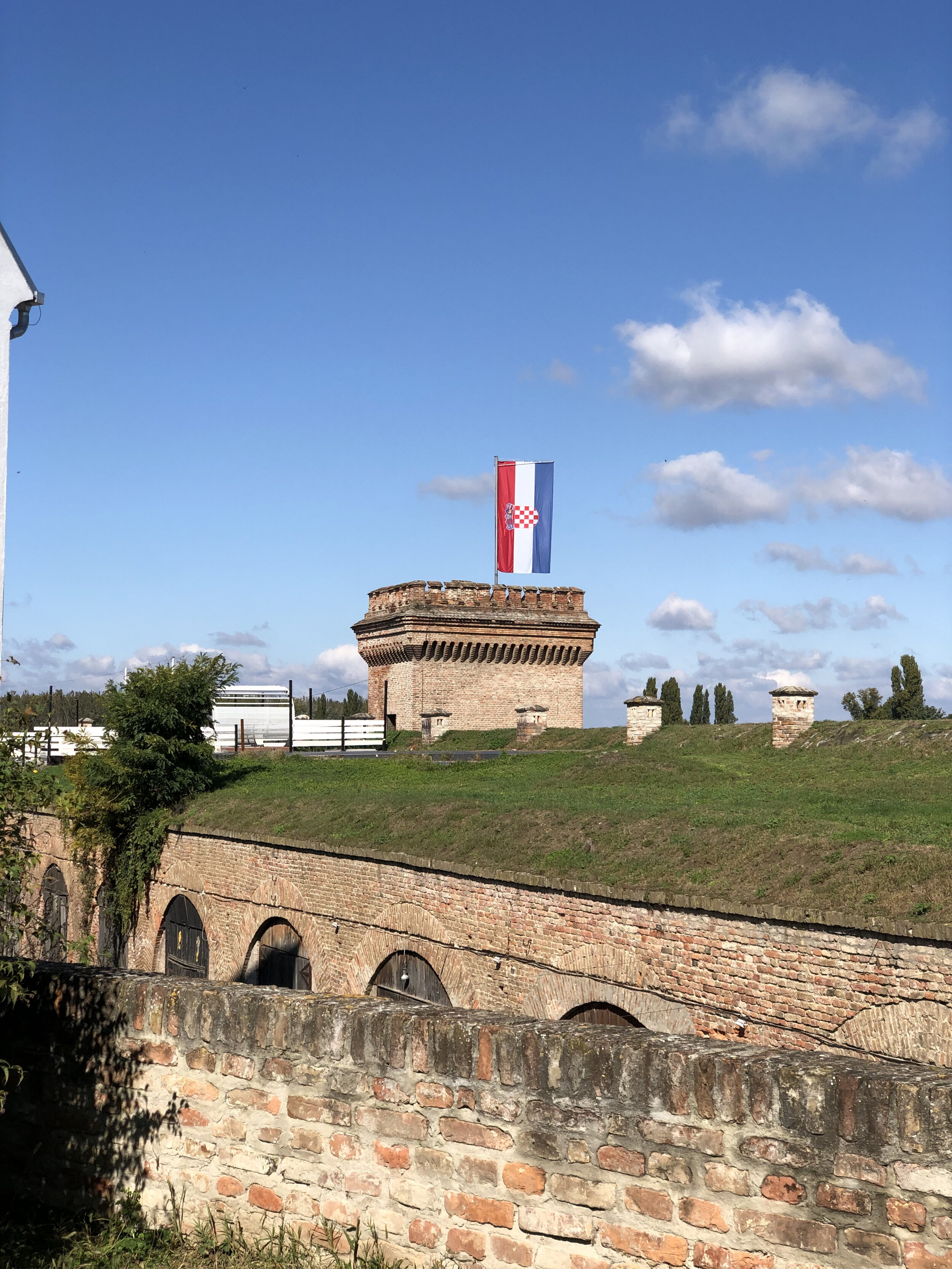 teri_croatia_Osijek_spiritedtable_photo12.jpg