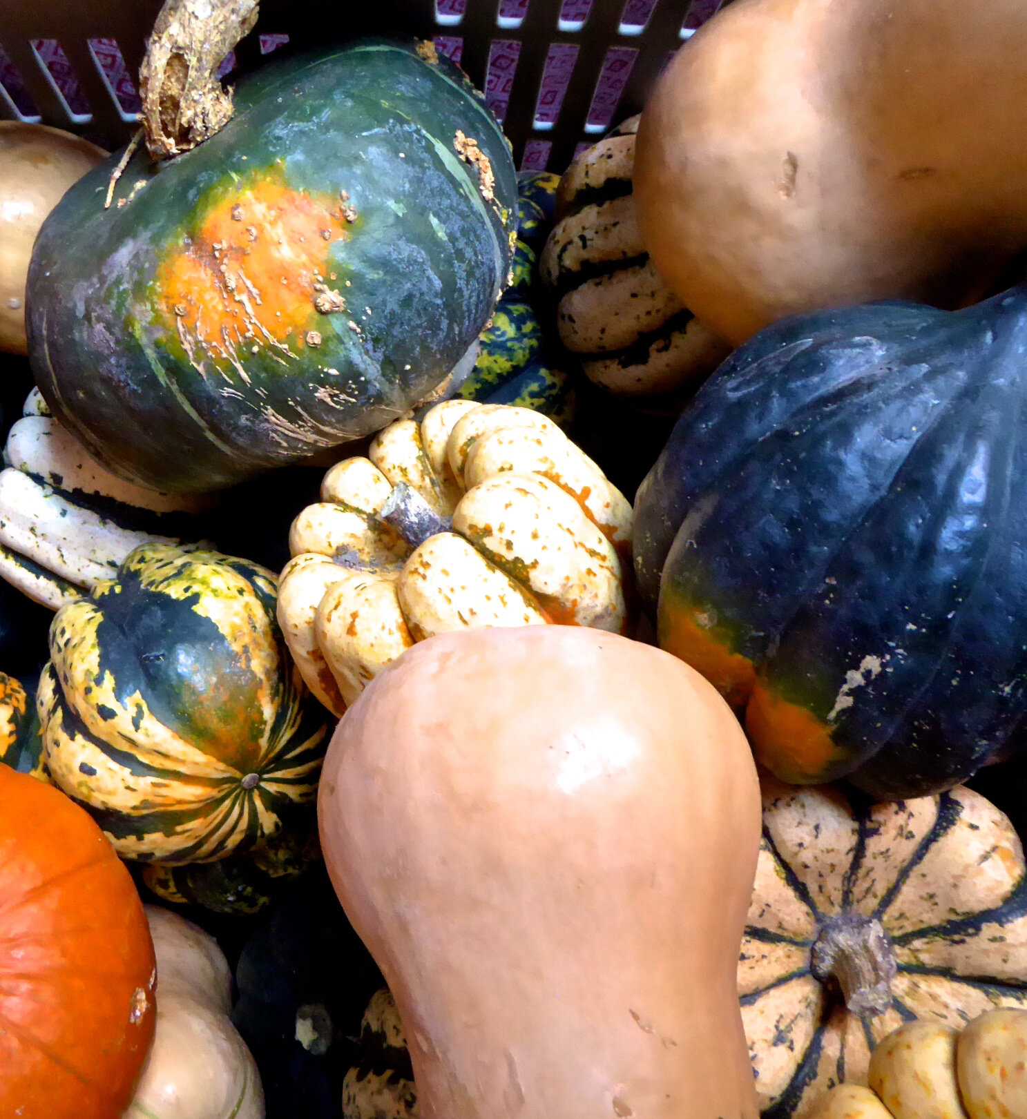 Baked Winter Squash - Root Vegetables