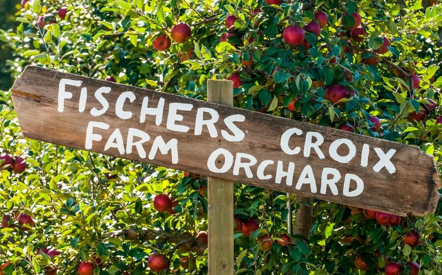 stcroix_byway0039-Fishers-Croix-apple-orchard.jpg