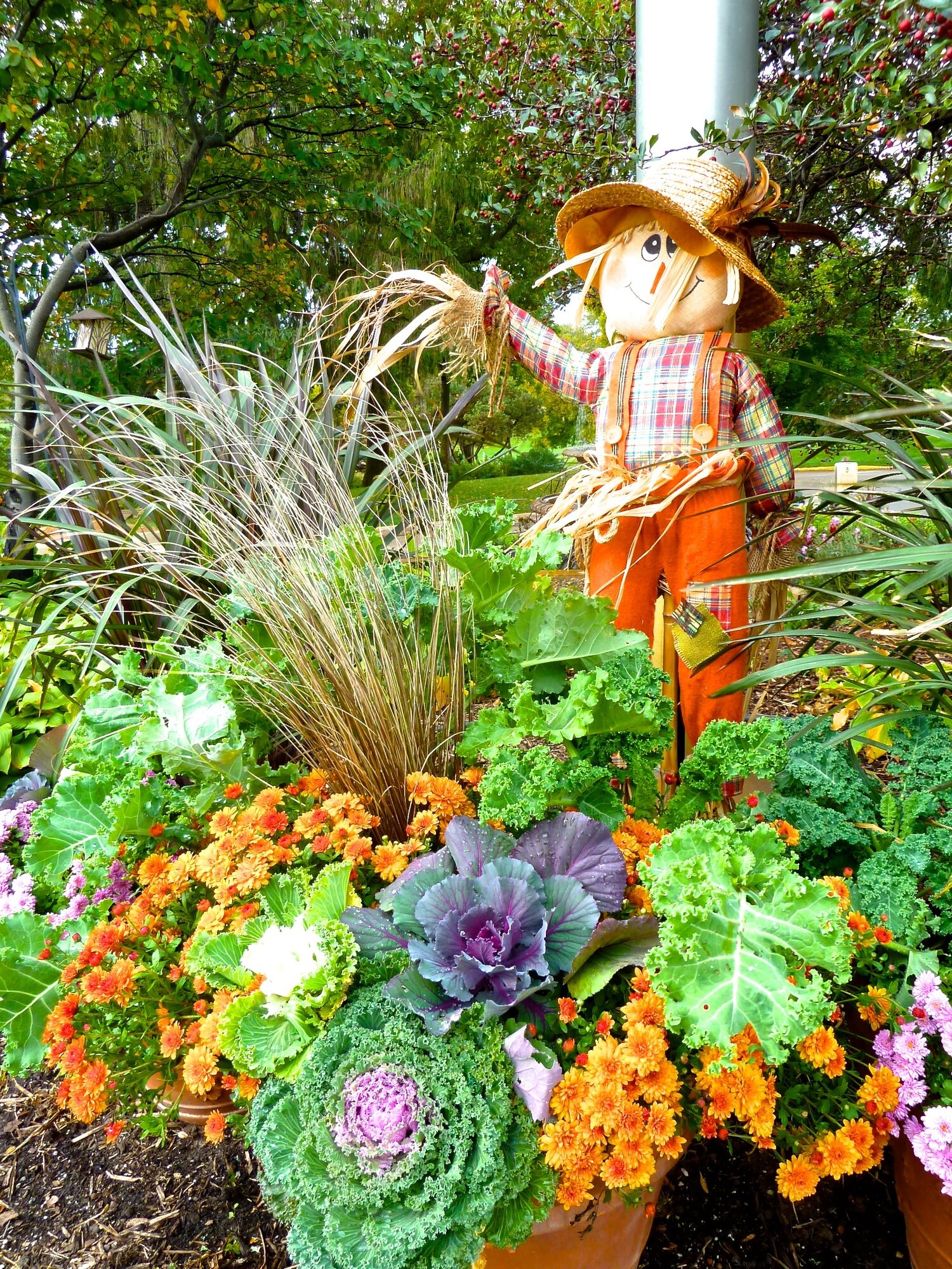 Scarecrows + Pumpkins + Flowers = Fall