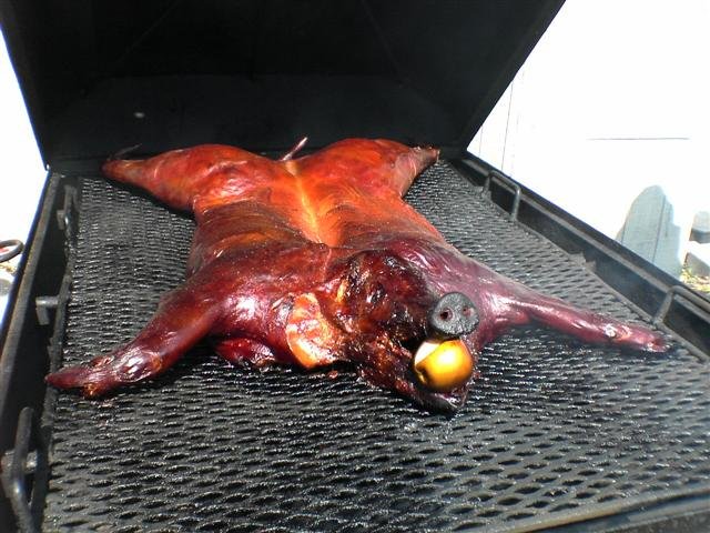 Pig Pickin' Thanksgiving