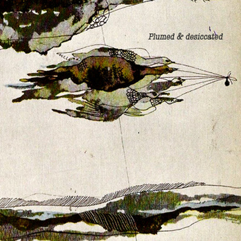 PLUMED AND DESICCATED