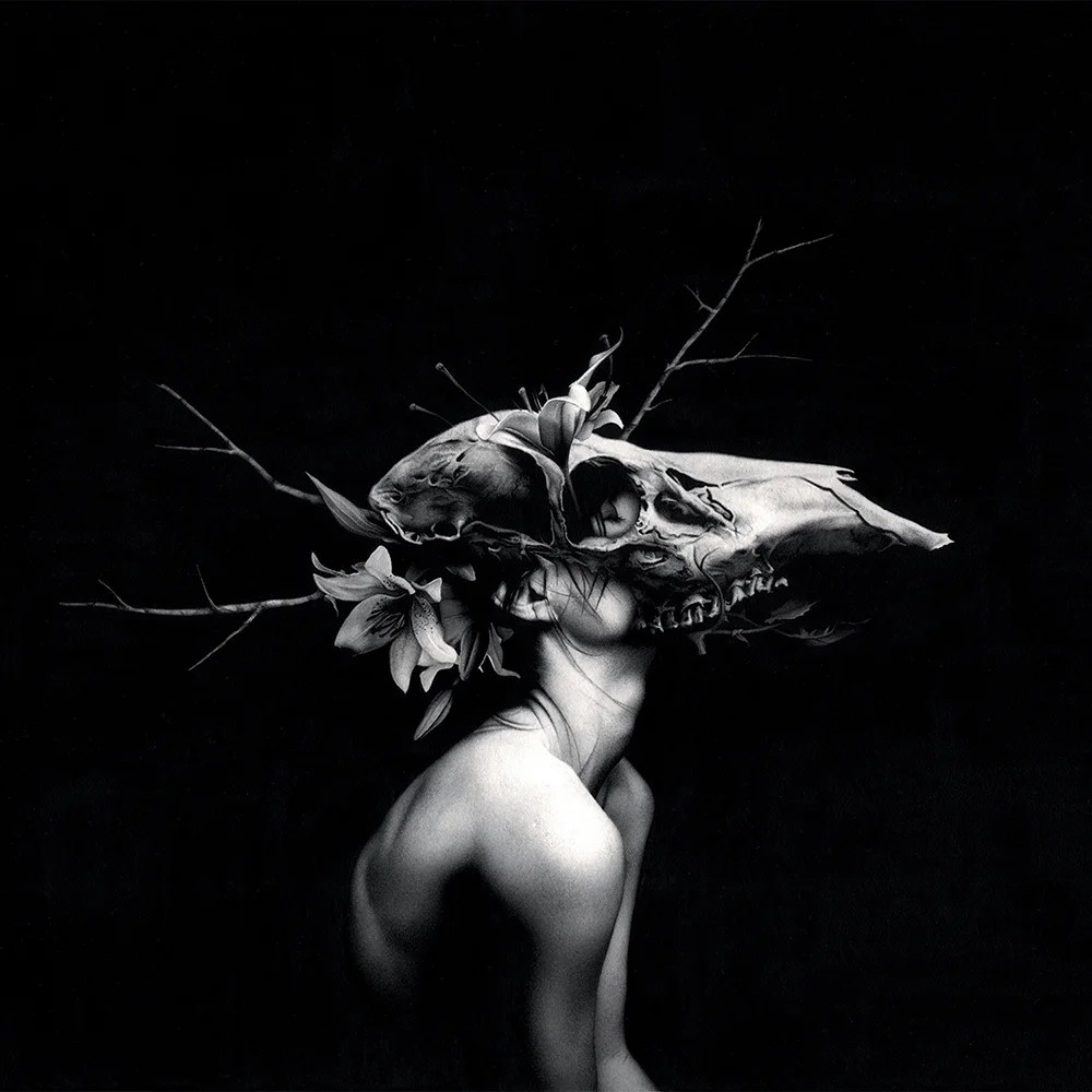 NEW WORDS FOR OLD WOUNDS