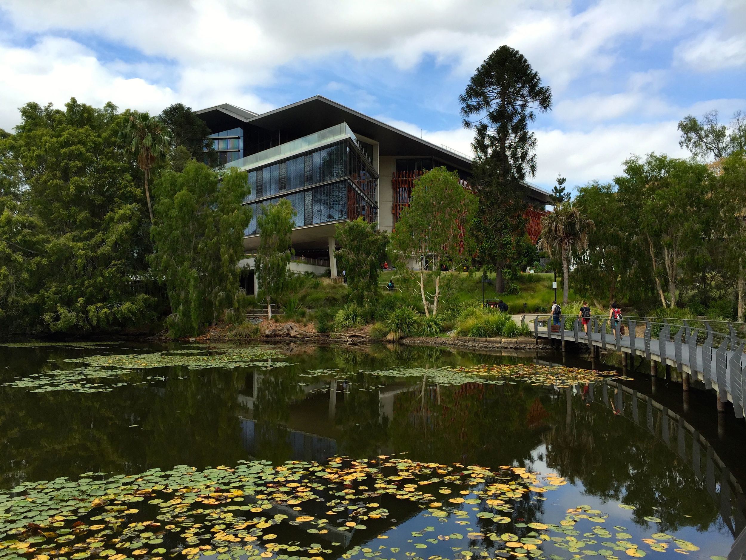 On the campus of the University of Queensland