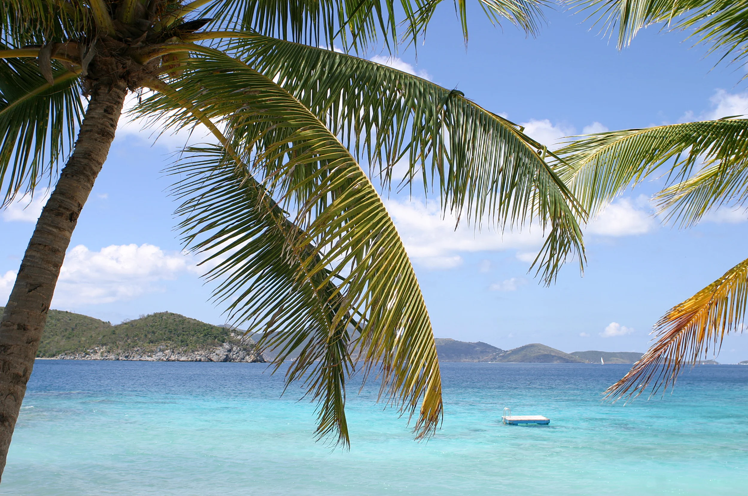 Little Thatch Island_2142.jpg