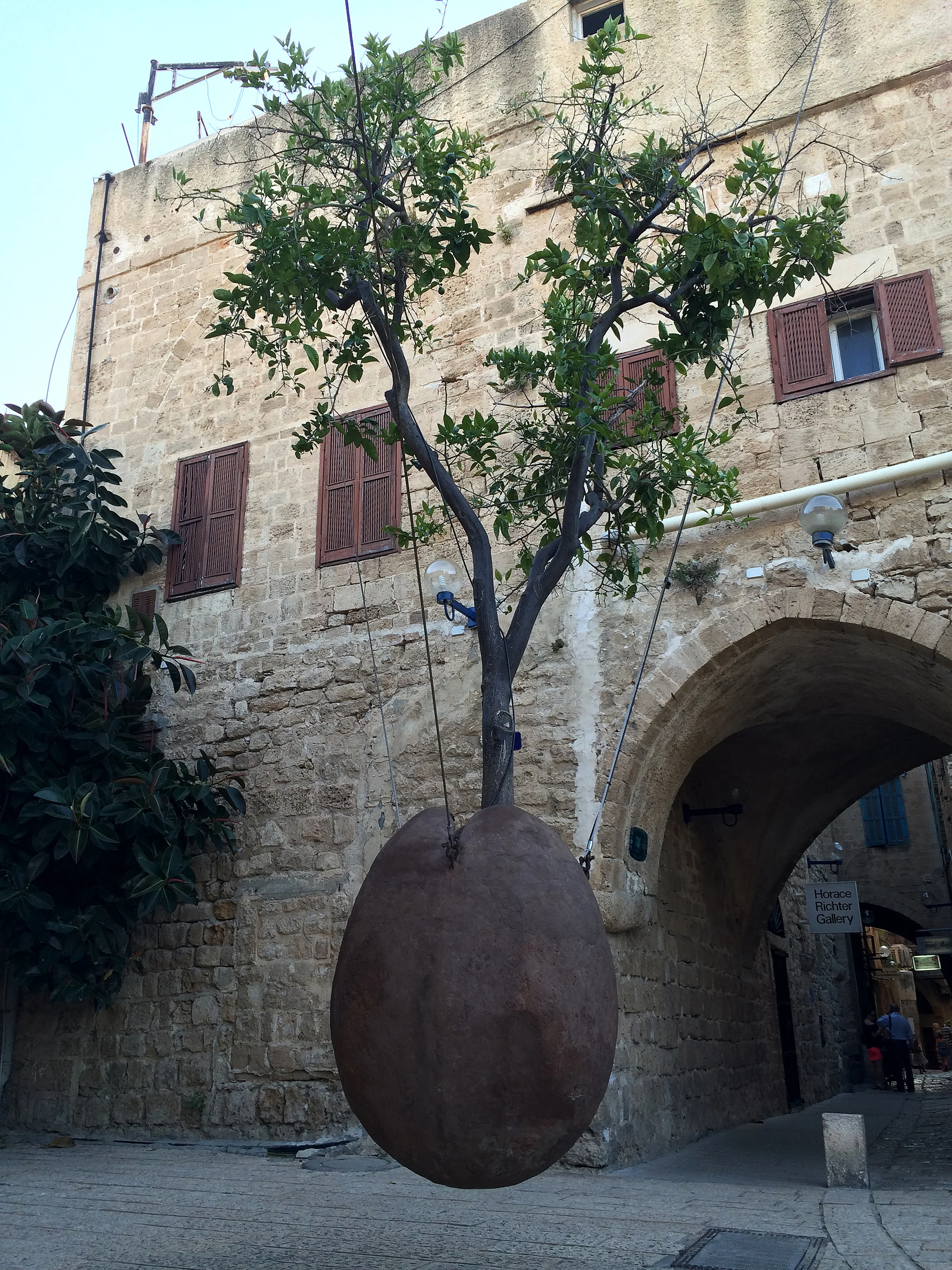 VSP-Israel-9613.jpg