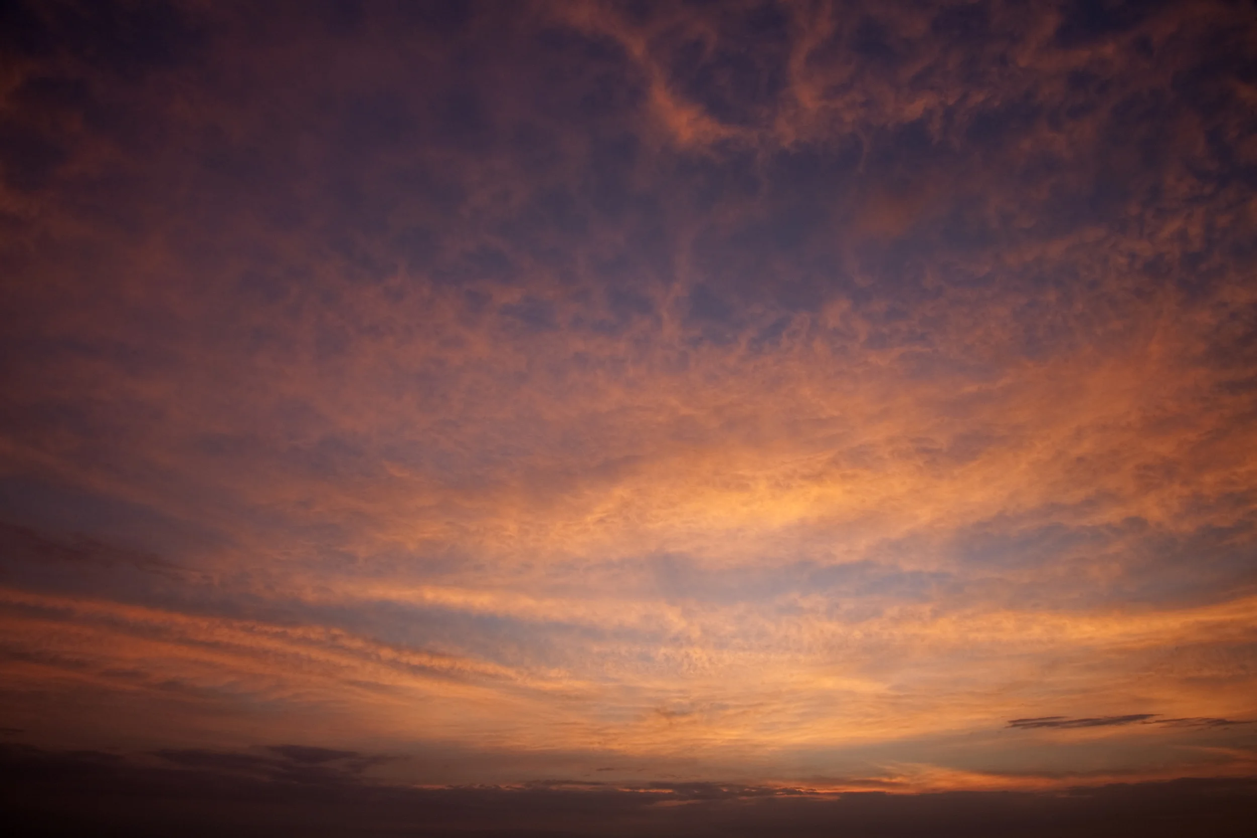 VSP-Miami-Sunset_8914.jpg